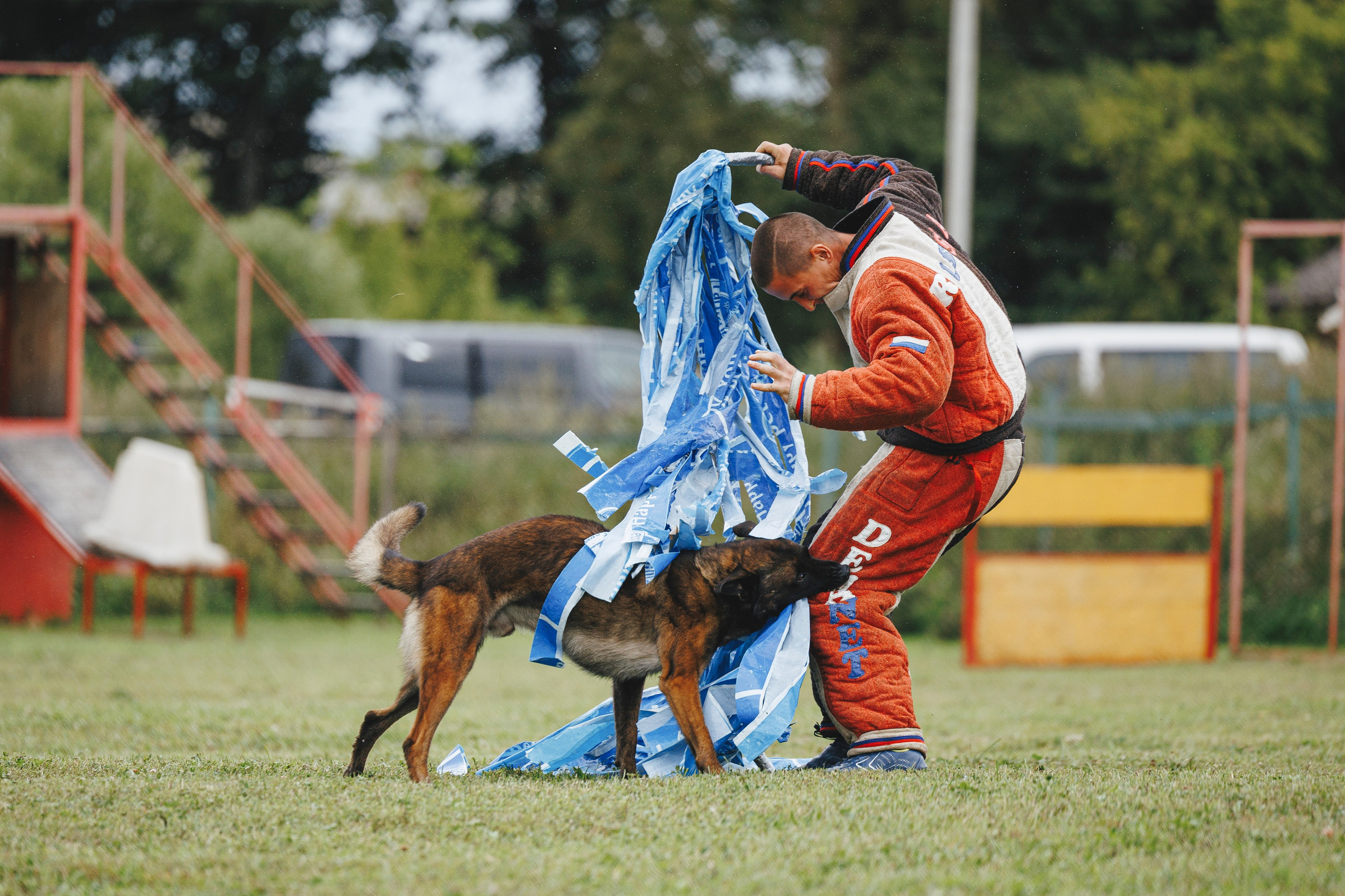 08.08.25-10.08.25 ЧР по мондьорингу г. Вологда. Фотограф-анималист Анна Маринич