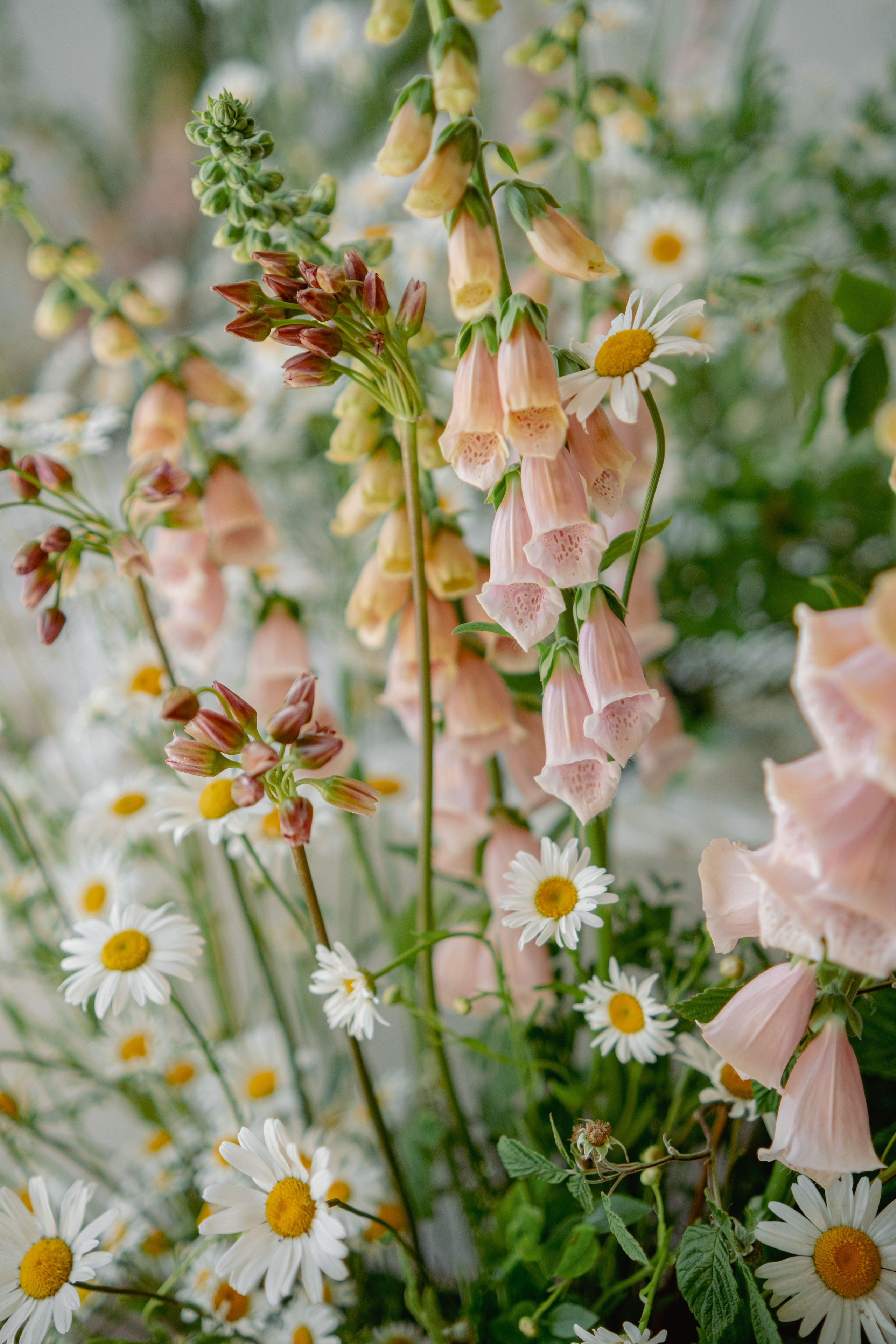 Сва. Флористика и декор в Санкт-Петербурге