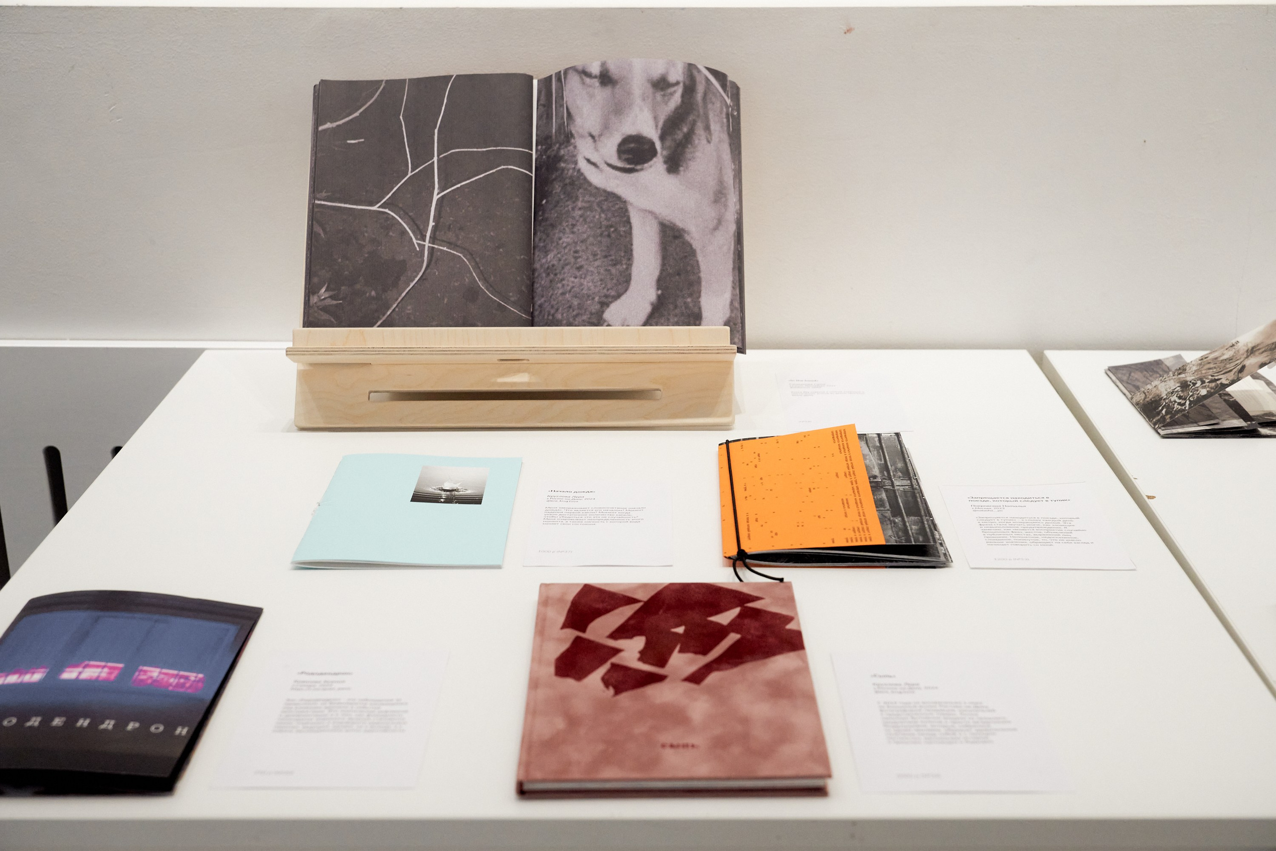 Разворот, фестиваль зинов, 27–29 сентября 2024, Дом архитектора, Воронеж. Лера Круглова