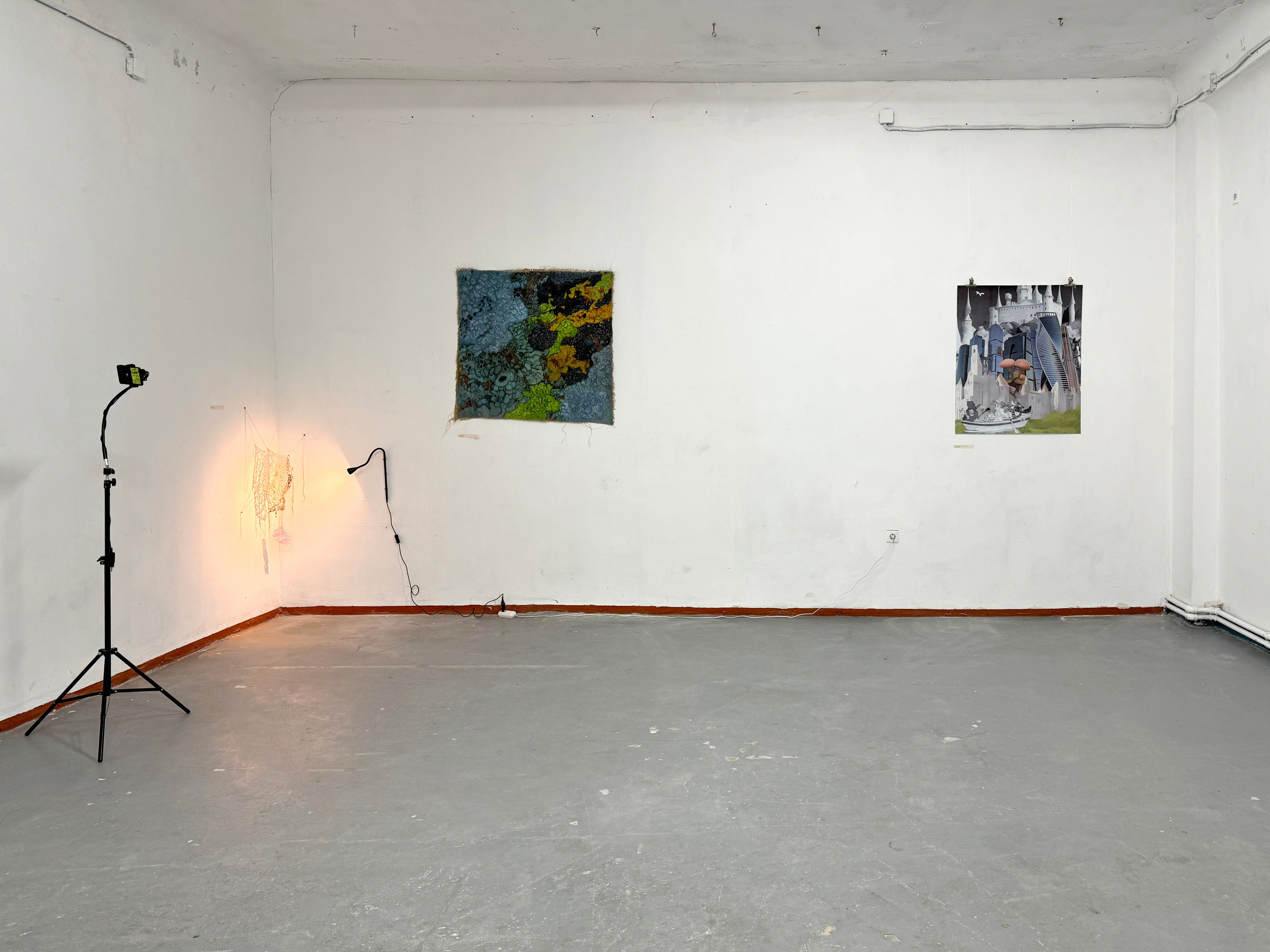 «Толька пришёл», групповая выставка, 14-28.12.2024, Часовой Завод, Ростов-на-Дону. Лера Круглова