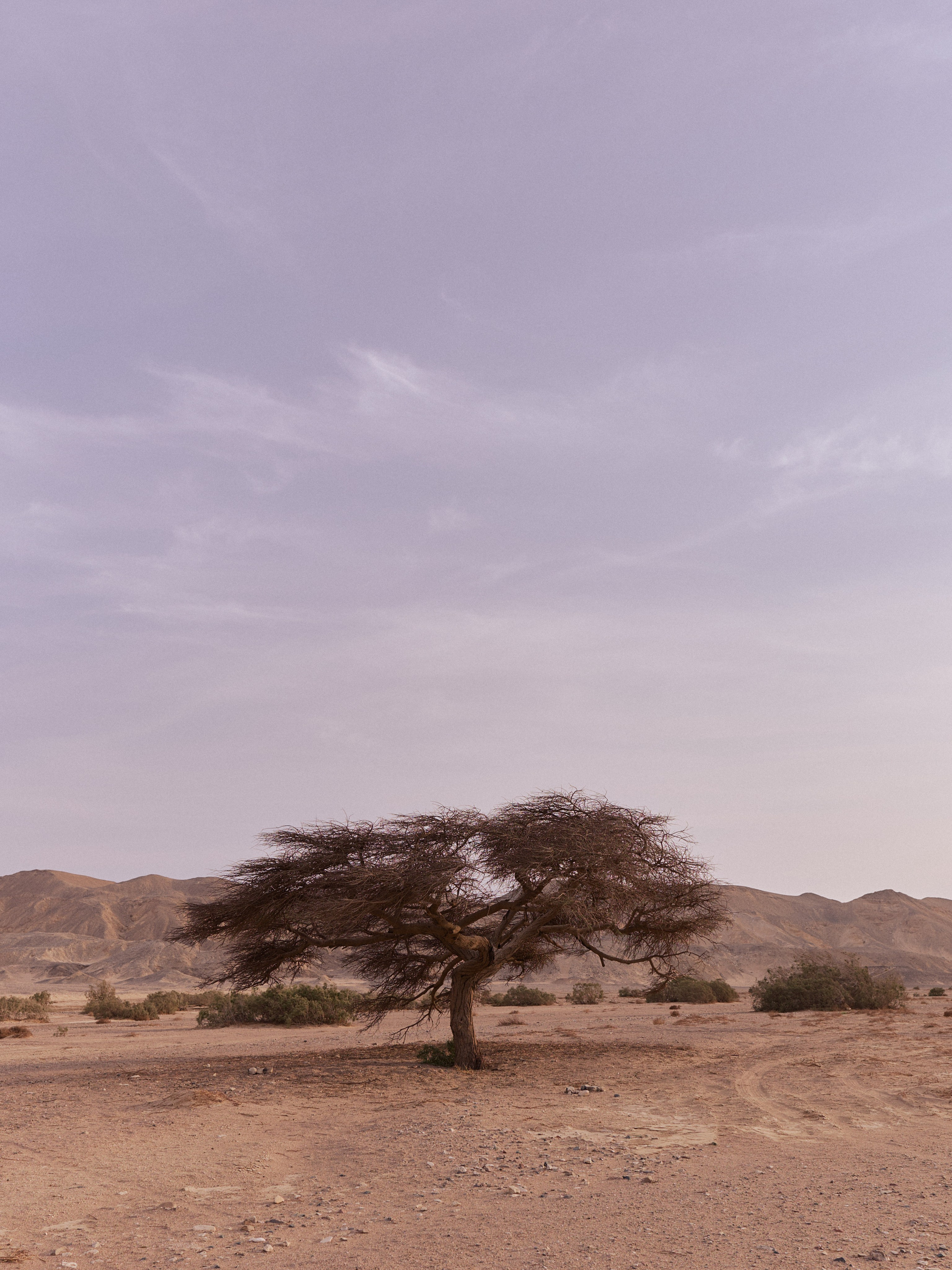 Другое 3. Jorgis Talè — photographer, kind person, teacher of arts and other mag