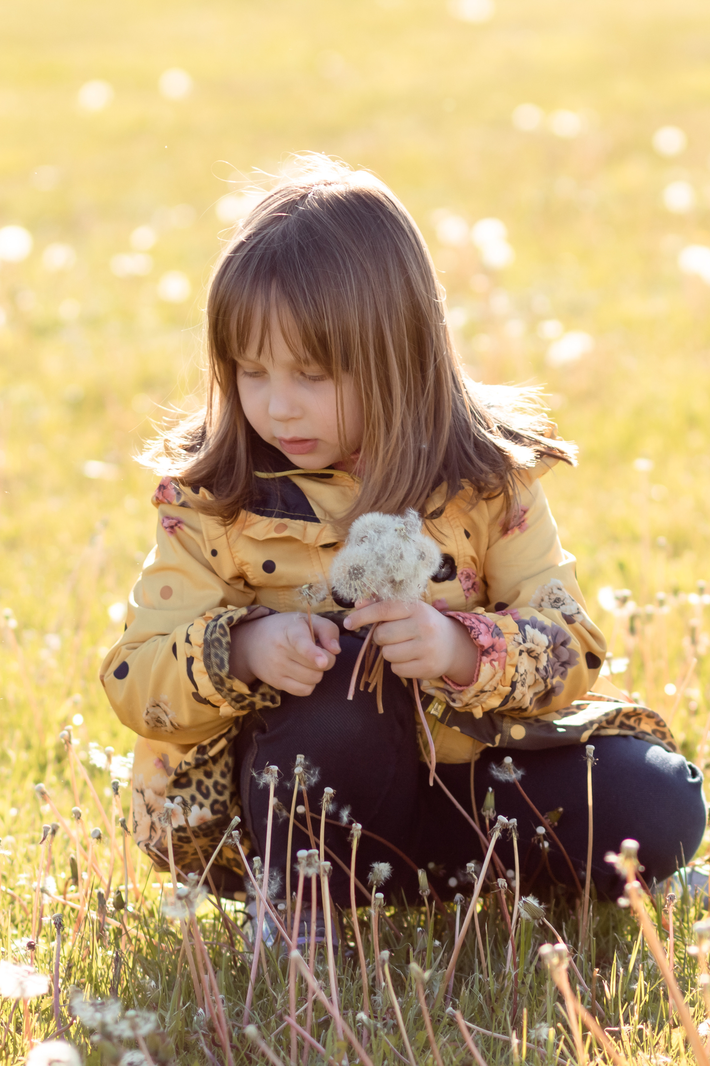 Лето в цветении. Семейный фотограф в Минске Приболовец Светлана