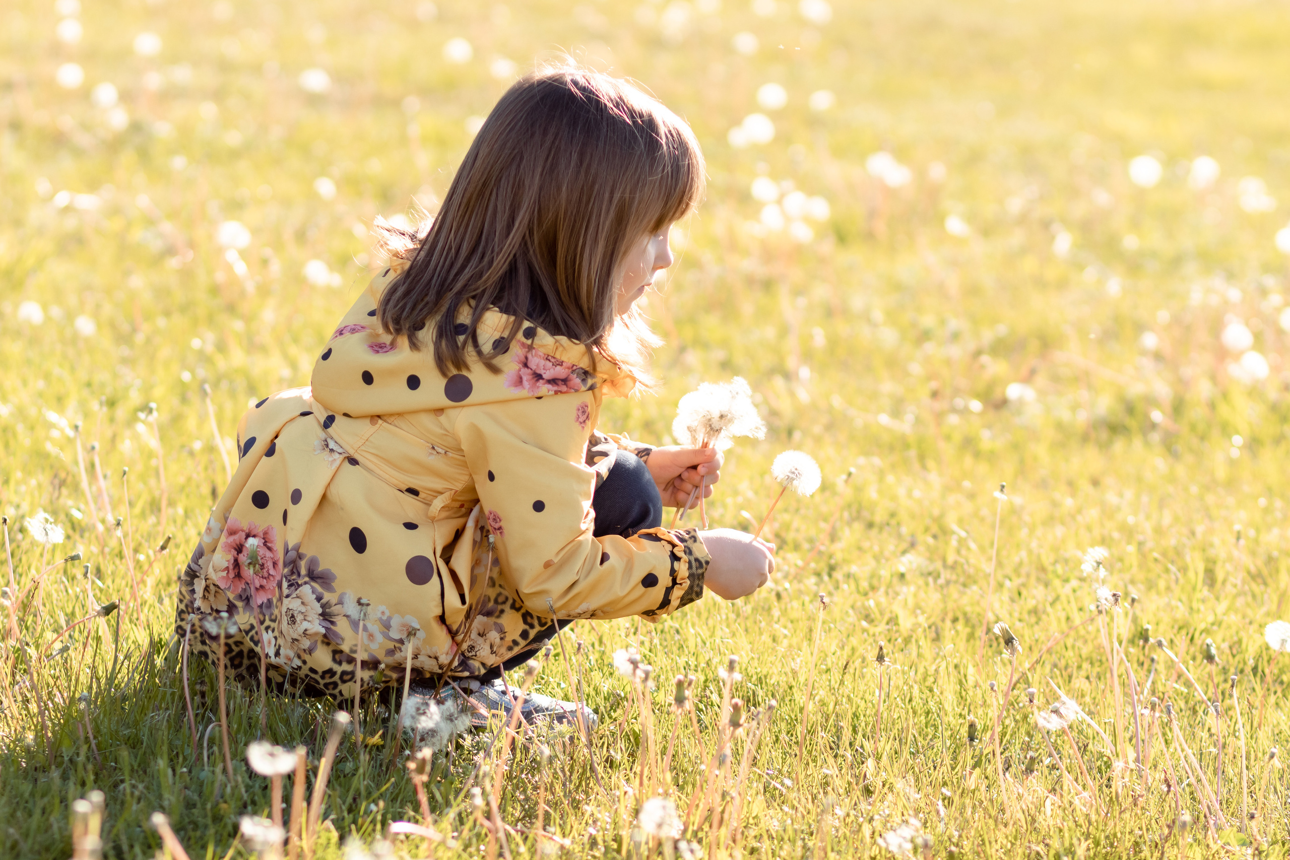 Лето в цветении. Семейный фотограф в Минске Приболовец Светлана