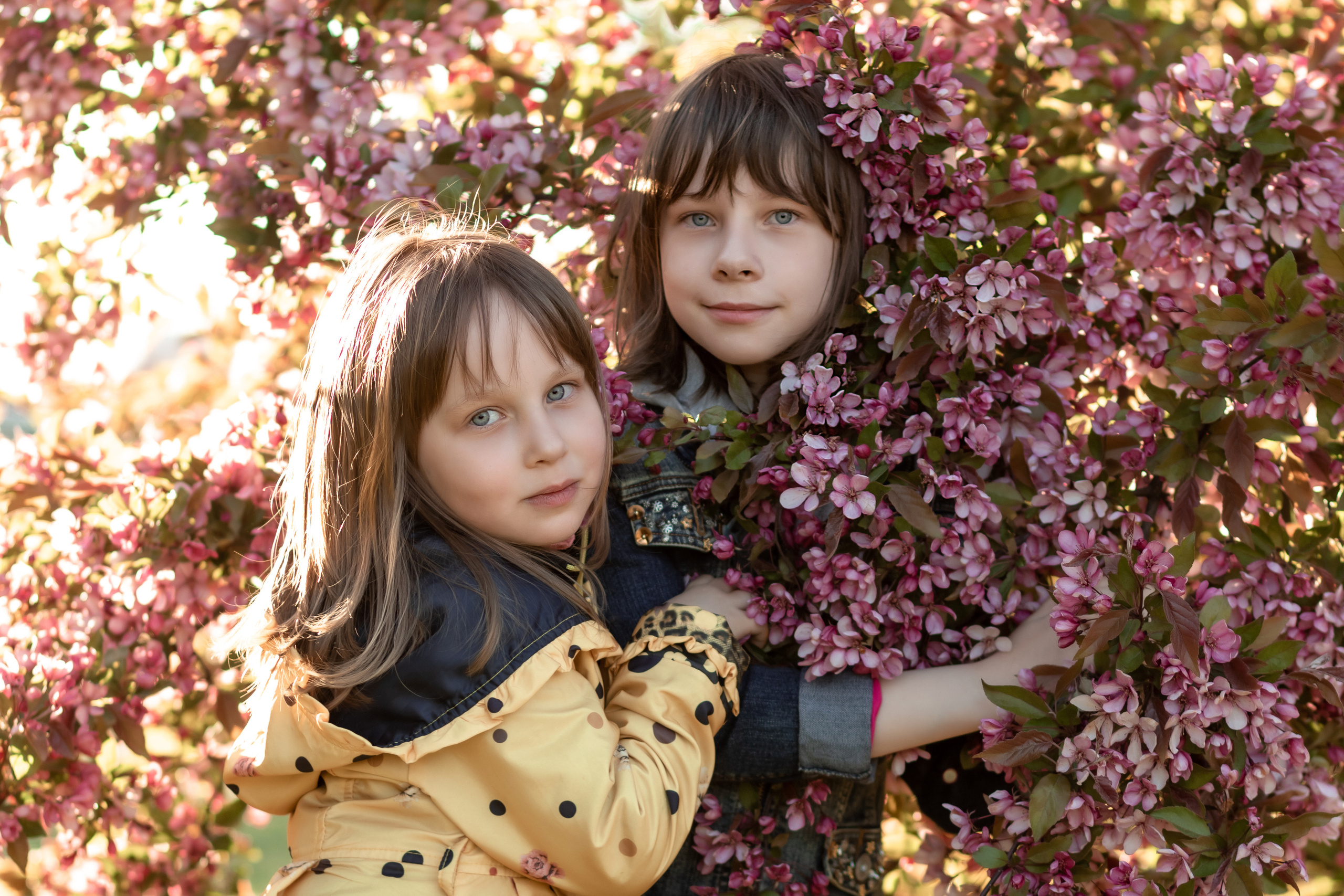 Лето в цветении. Семейный фотограф в Минске Приболовец Светлана