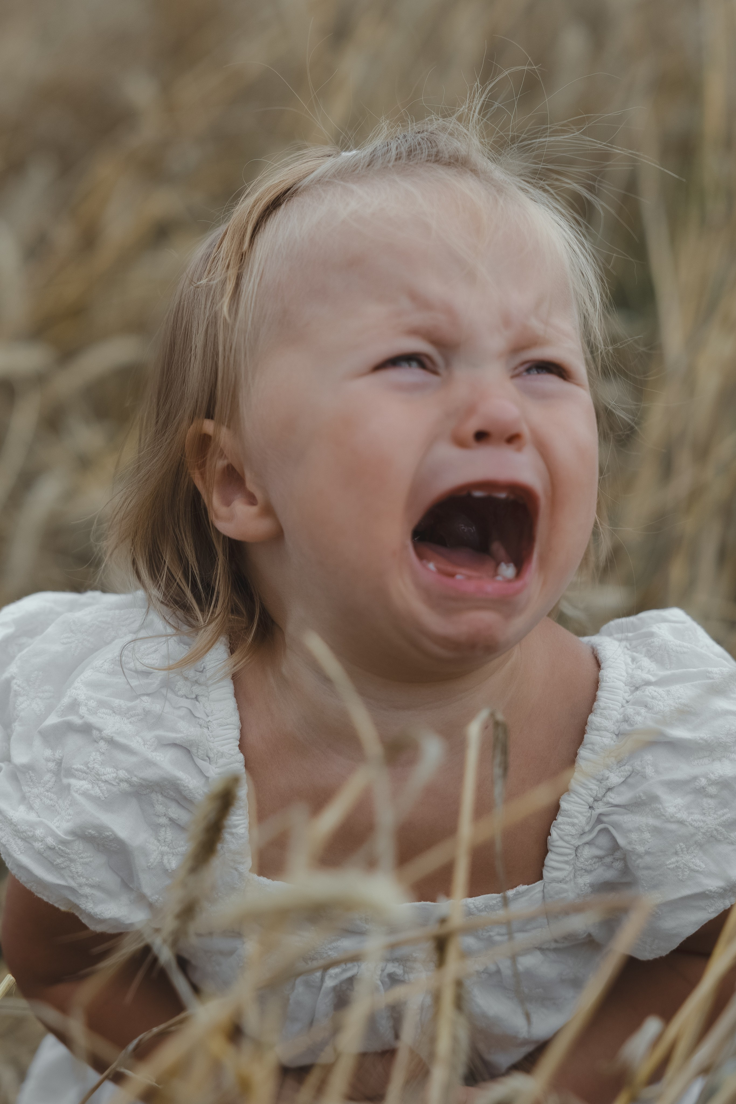 Девочки в поле. Семейный фотограф в городе Тула Любовь Сабирова