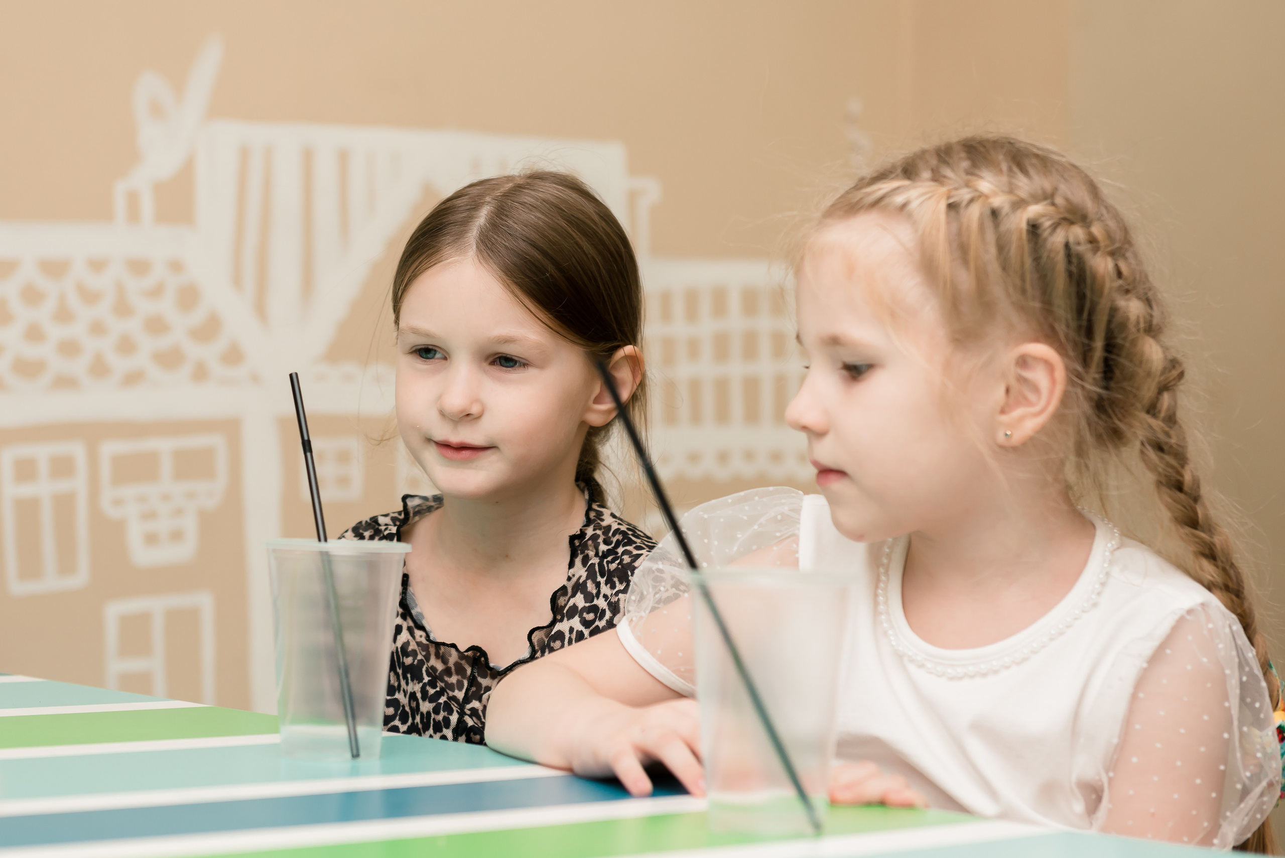 День Рождения в Зёбре июль 2024. Детский фотограф, семейный фотограф и репортажи в Кемерово