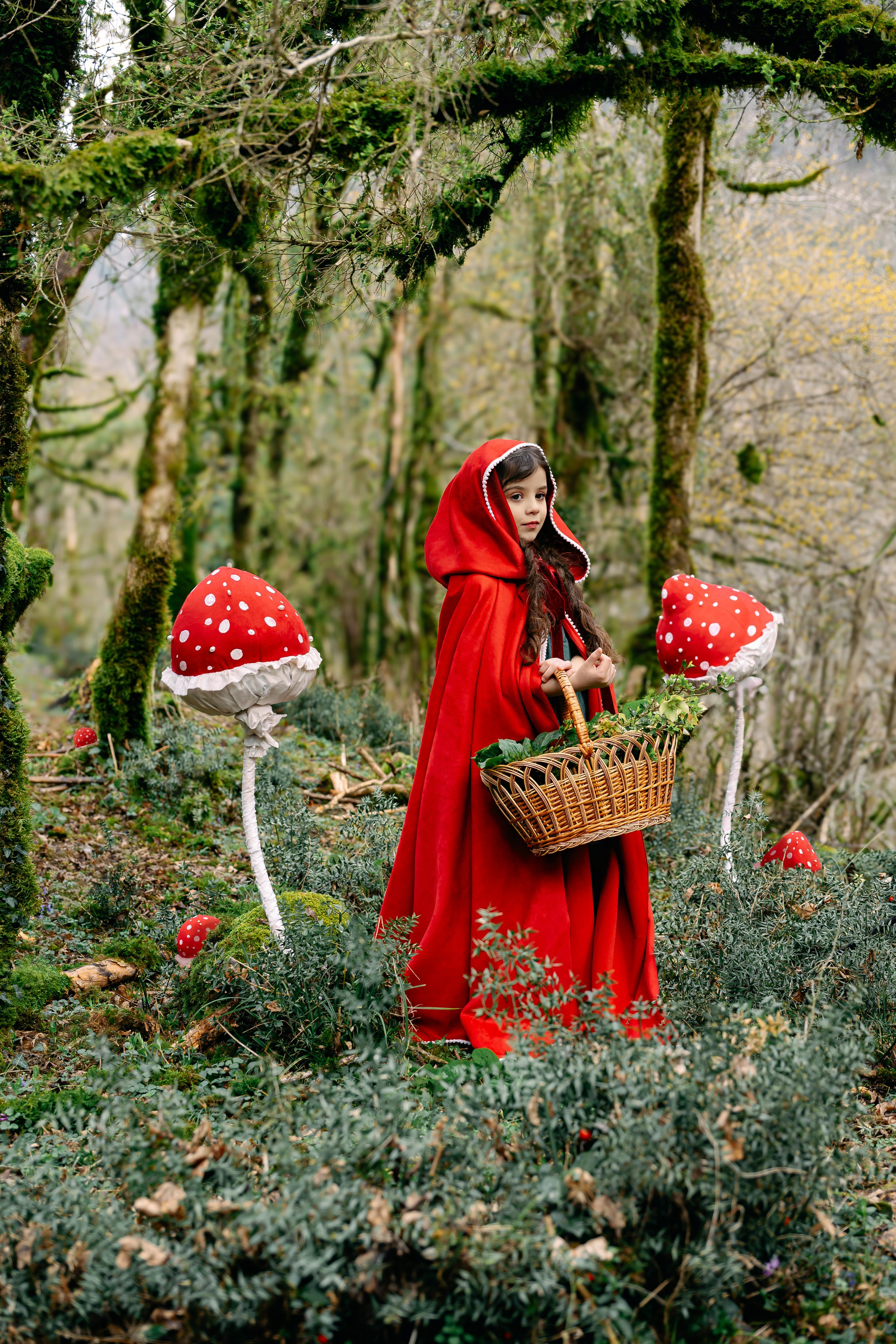 фотопроекты