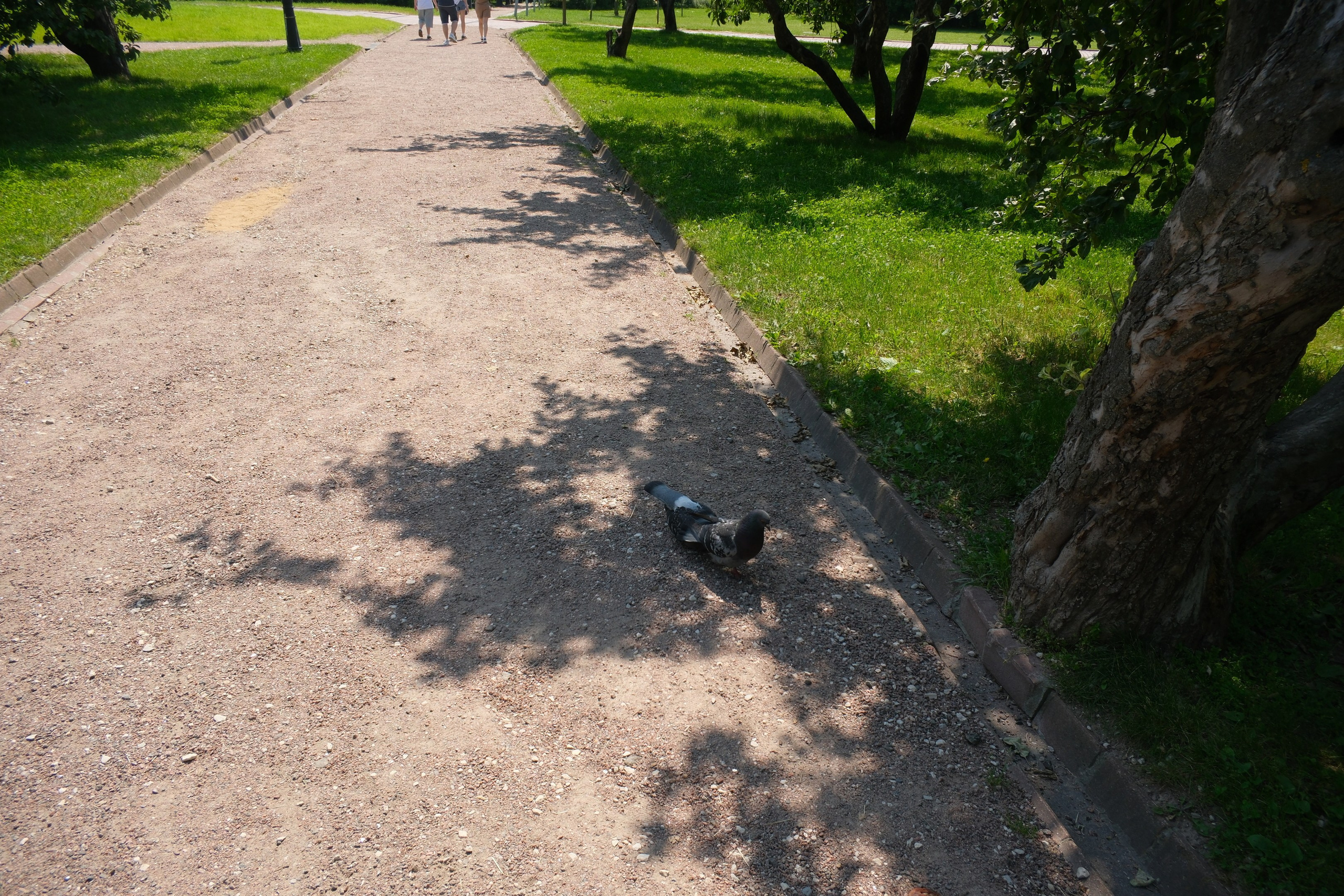 В Коломенском 07.07.2025. Улица, люди, жизнь…