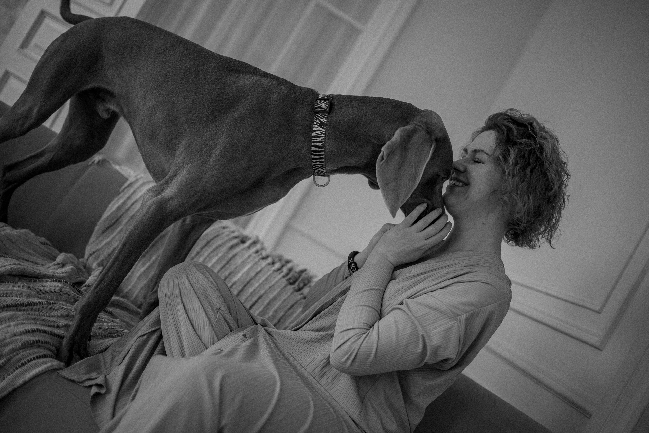 Фотосессия в студии с собакой. Фотограф-анималист в Екатеринбурге | Кристина