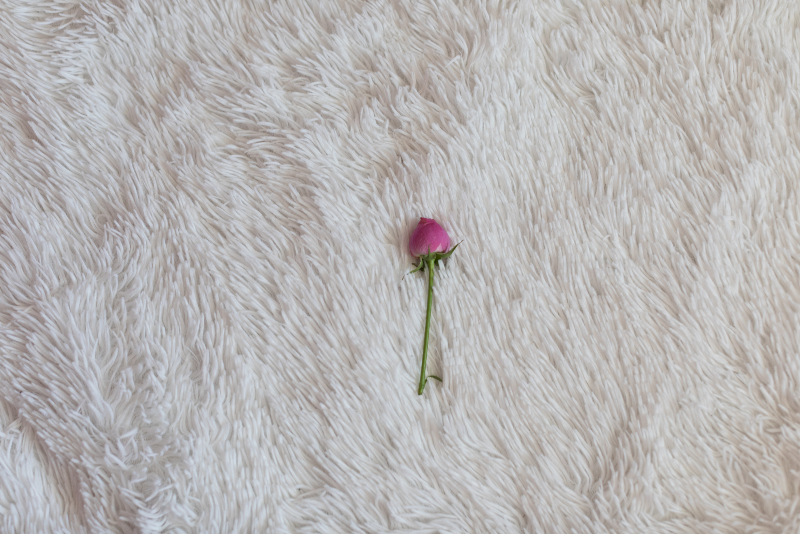 Alexandra. Надежда Крылова портретный фотограф документальный Санкт-Петербург