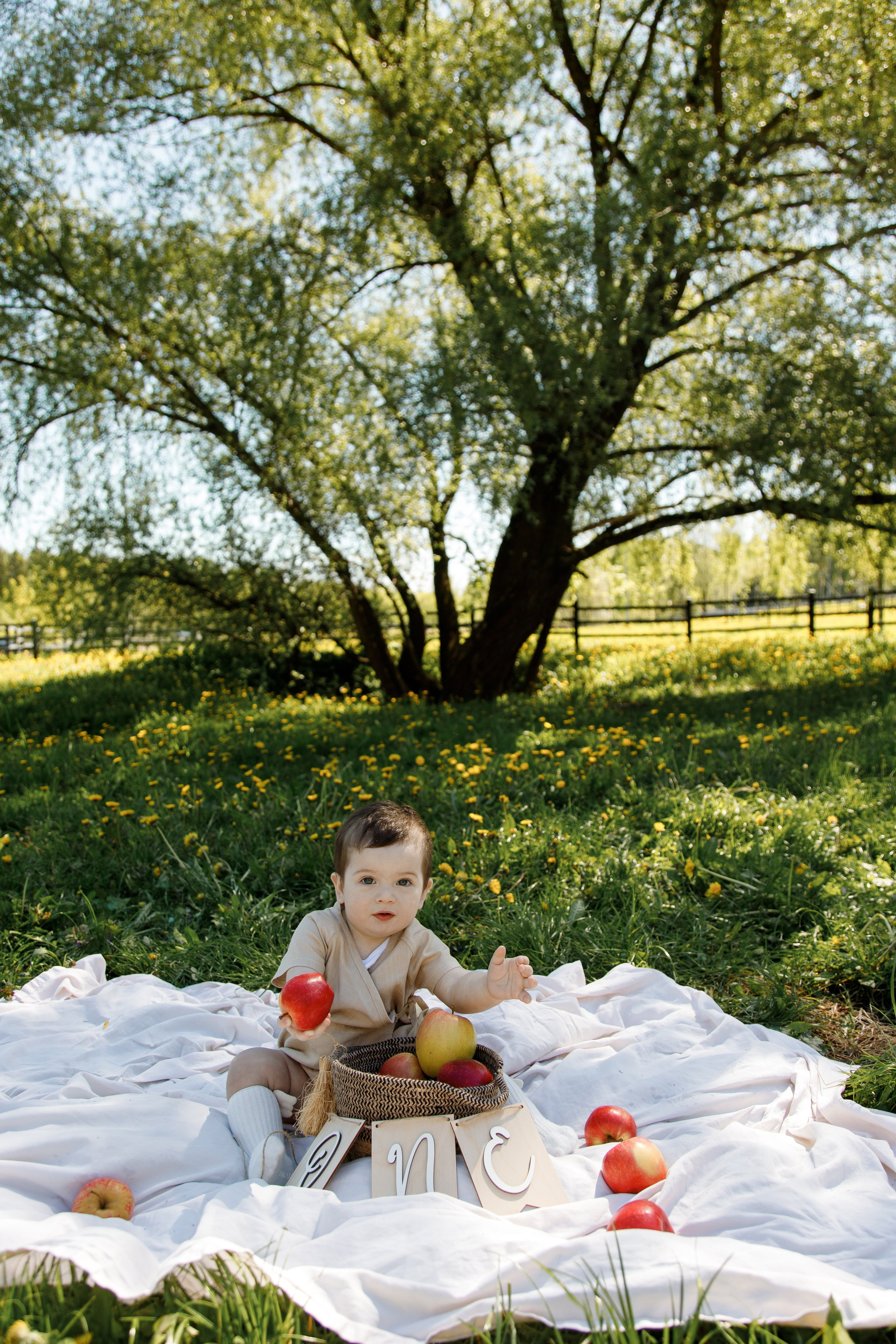 Семейная фотосессия на природе ко дню рождения. Фотограф Александра Сыщенко