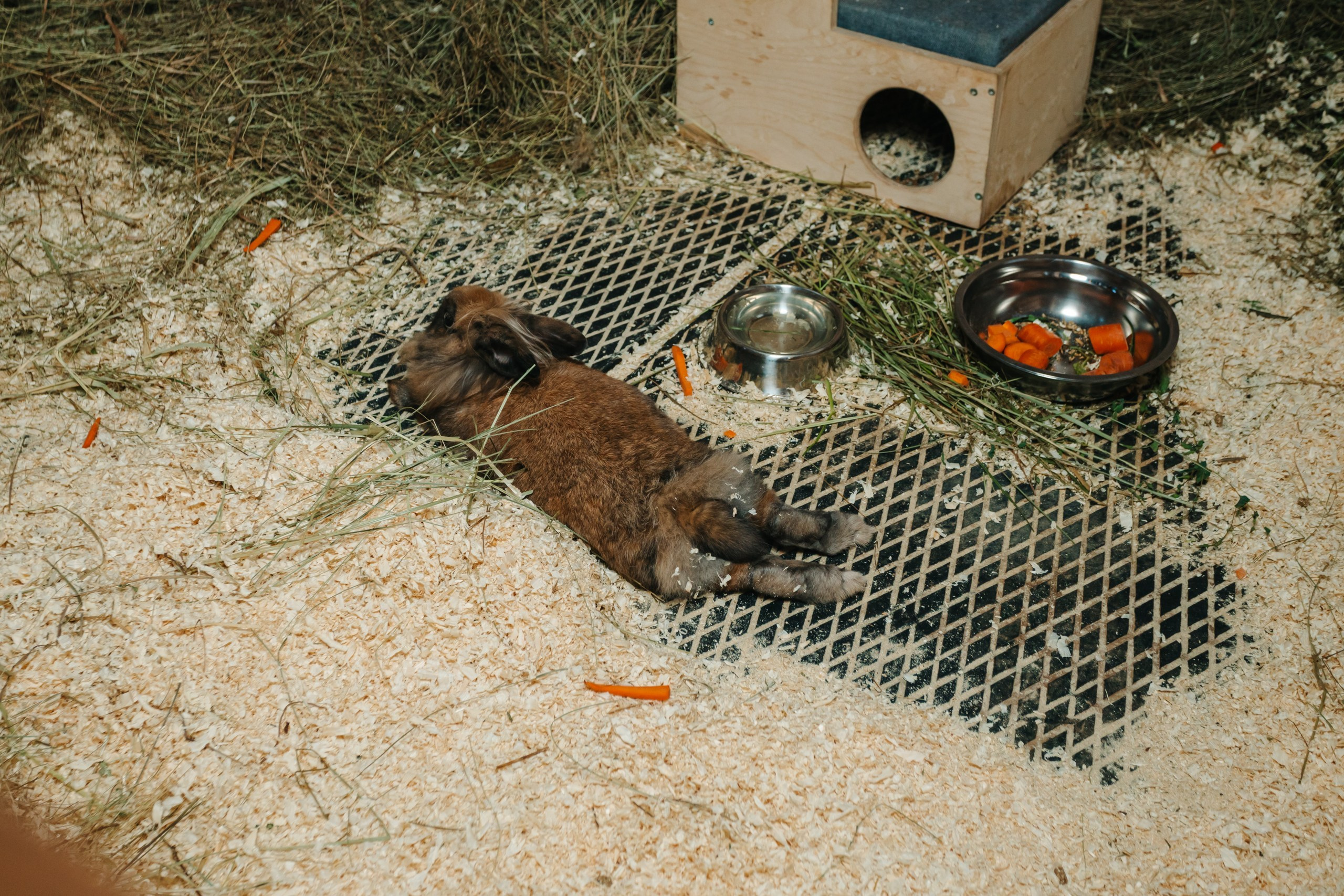 День рождения Марка. Андрей Партнов — фотогрраф, Москва