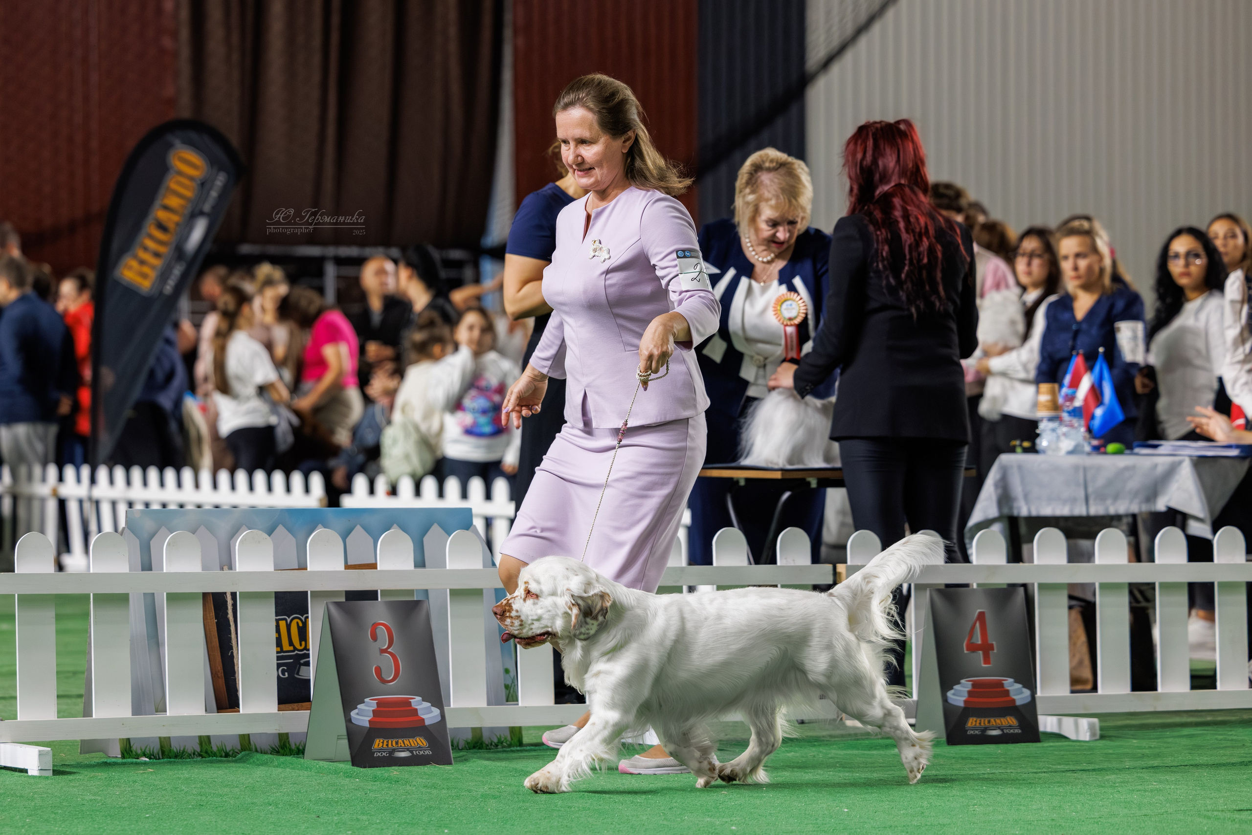 Телави 11-12.10.2025. Фотограф-анималист Юлия Германика