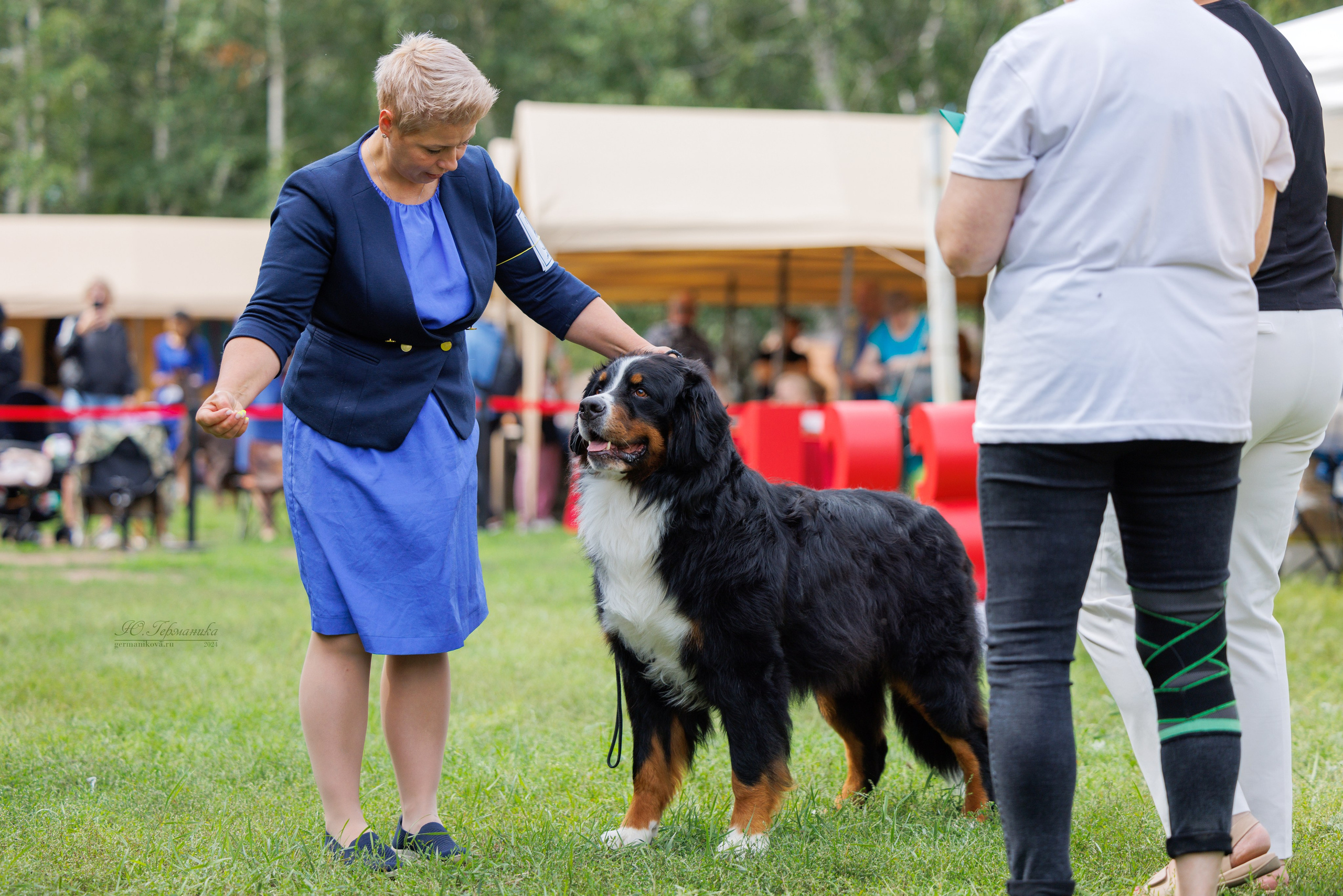 Астана 2хCACIB 17-18.08.2024. Фотограф-анималист Юлия Германика