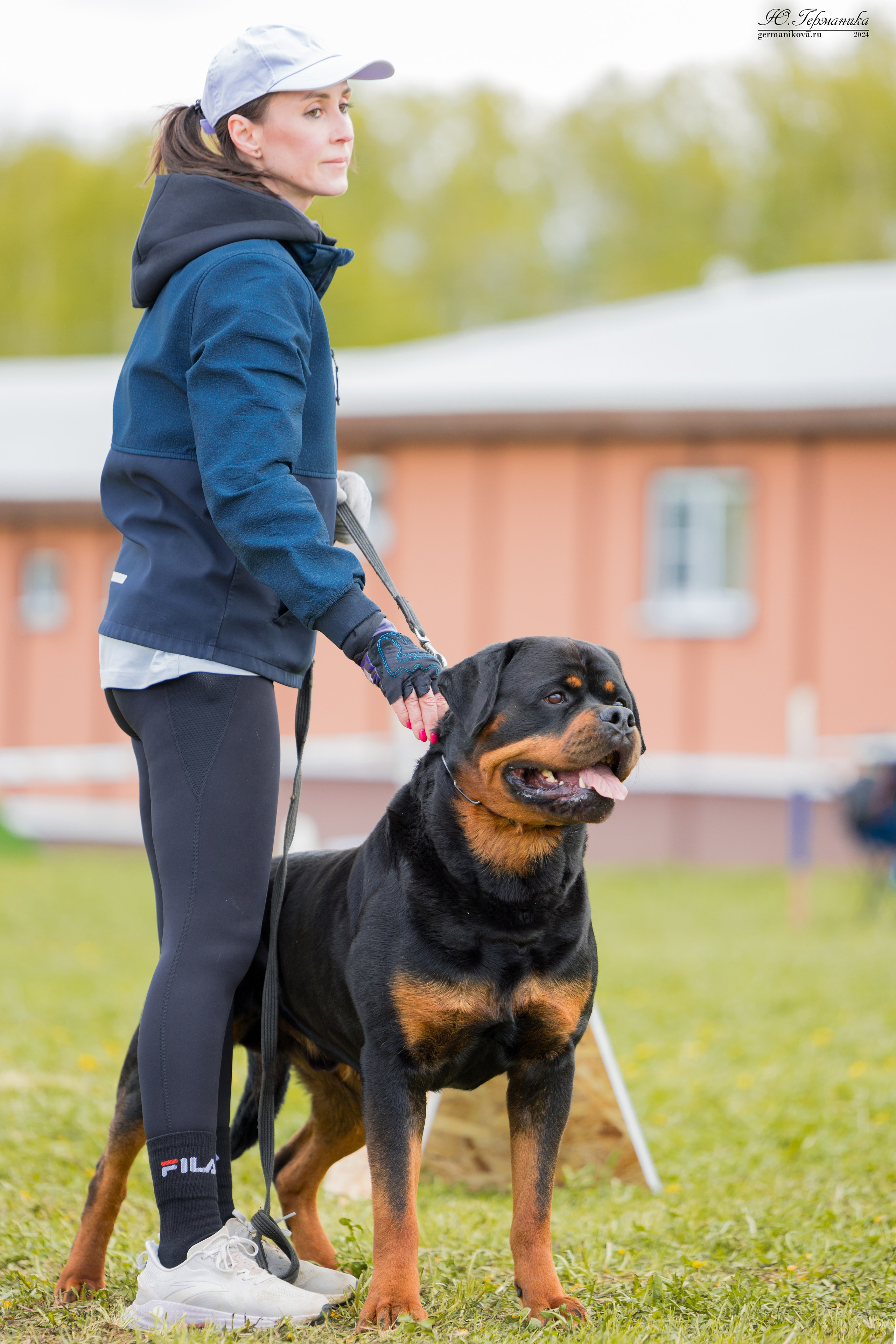 Нижний Новгород 11-12.05.2024 моно ротвейлеров. Фотограф-анималист Юлия Германика