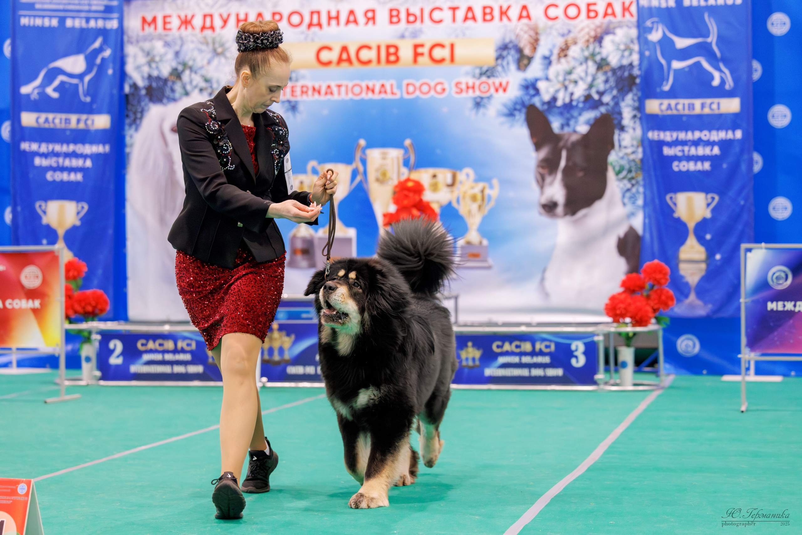Минск 1-2.03.2025. Фотограф-анималист Юлия Германика