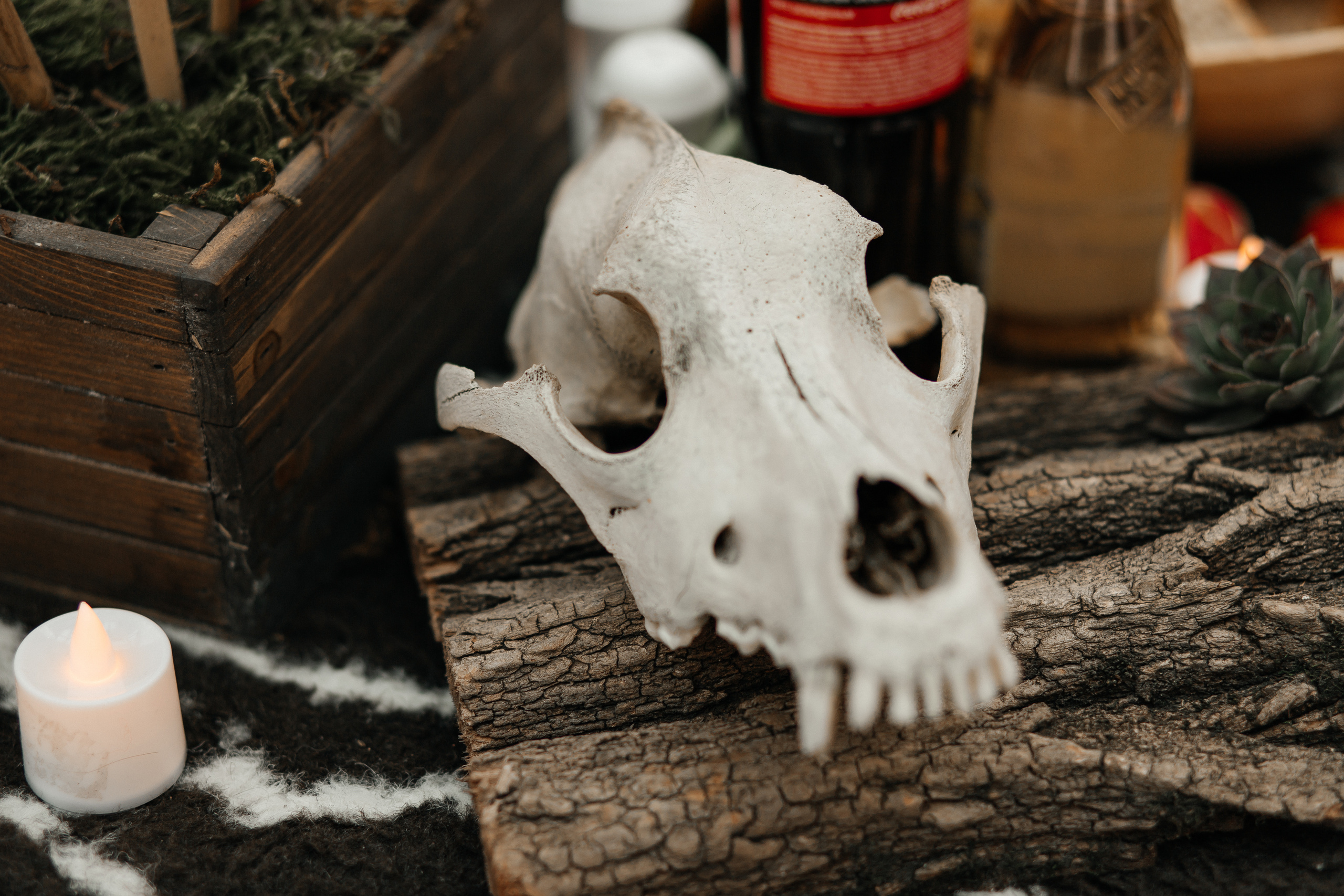 Татьяна&Роман. Свадебный фотограф Краснодара Александр Кулагин