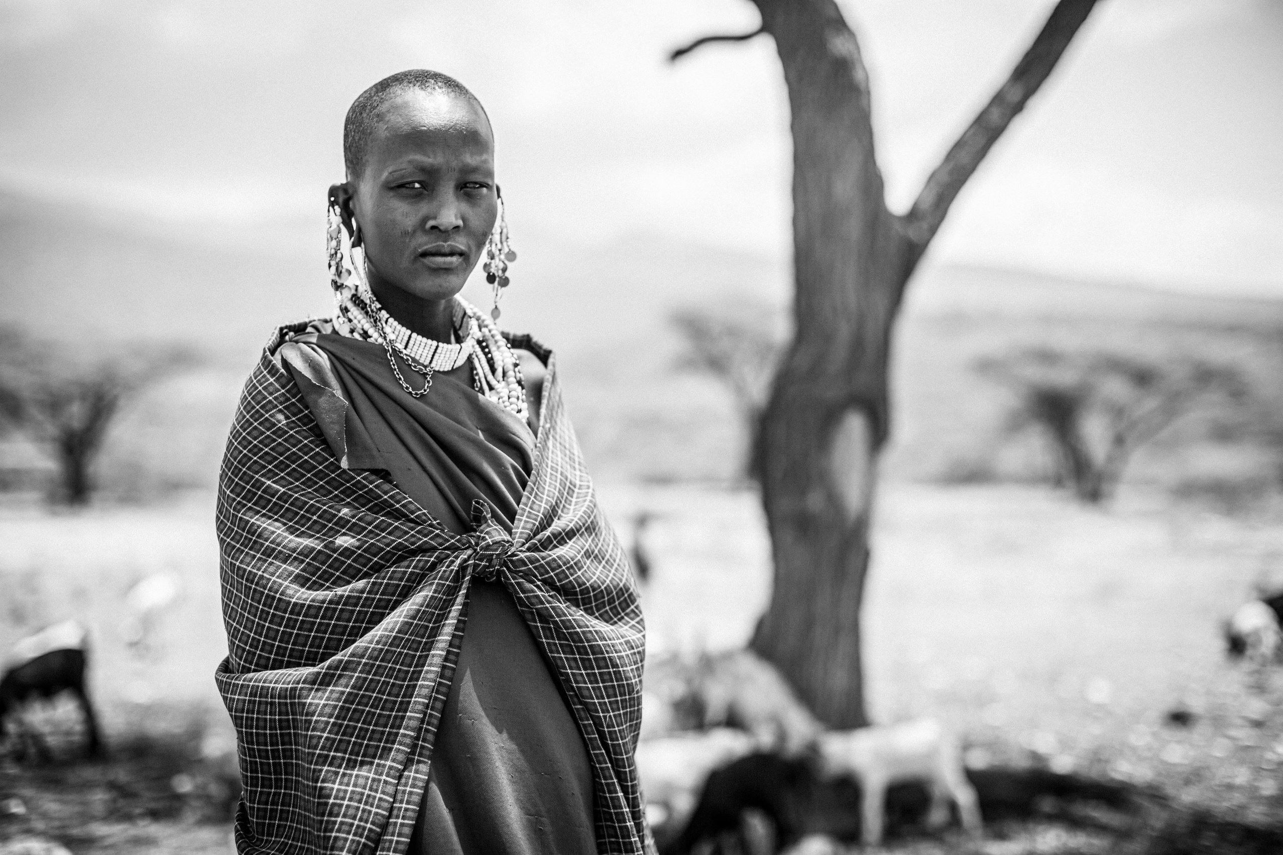 Танзания. Добродеева Алла фотограф, Москва