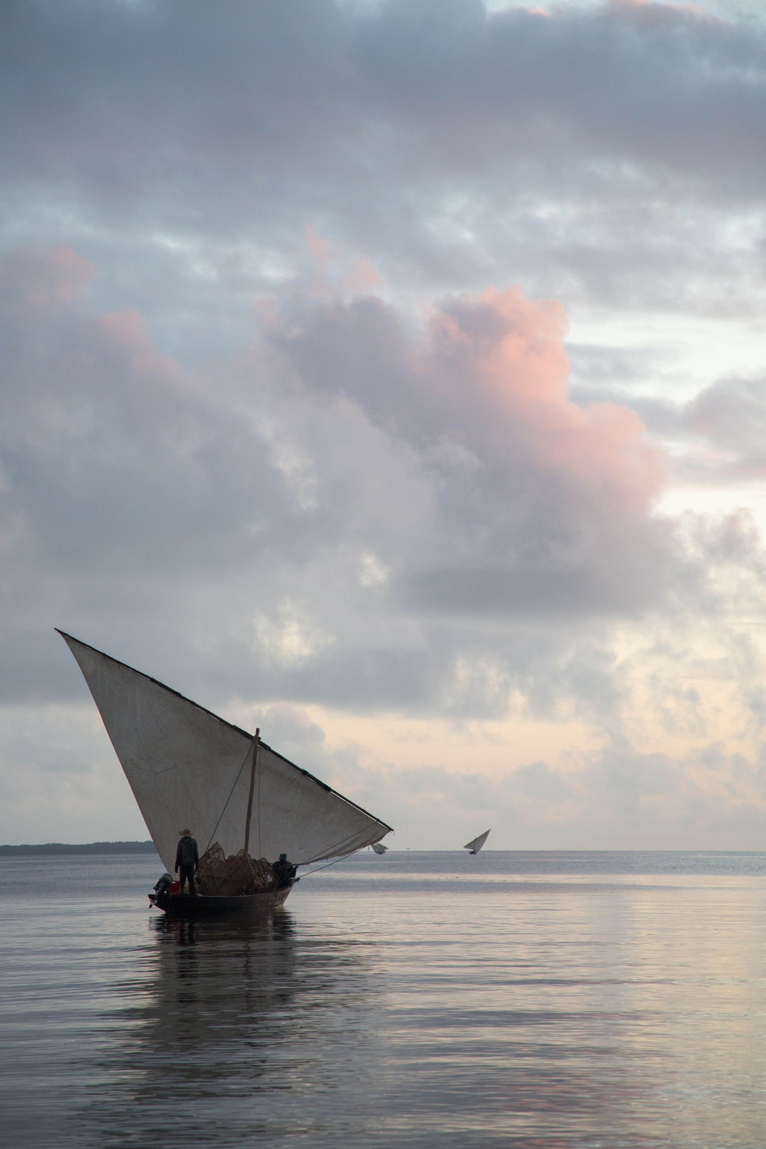 Танзания. Добродеева Алла фотограф, Москва