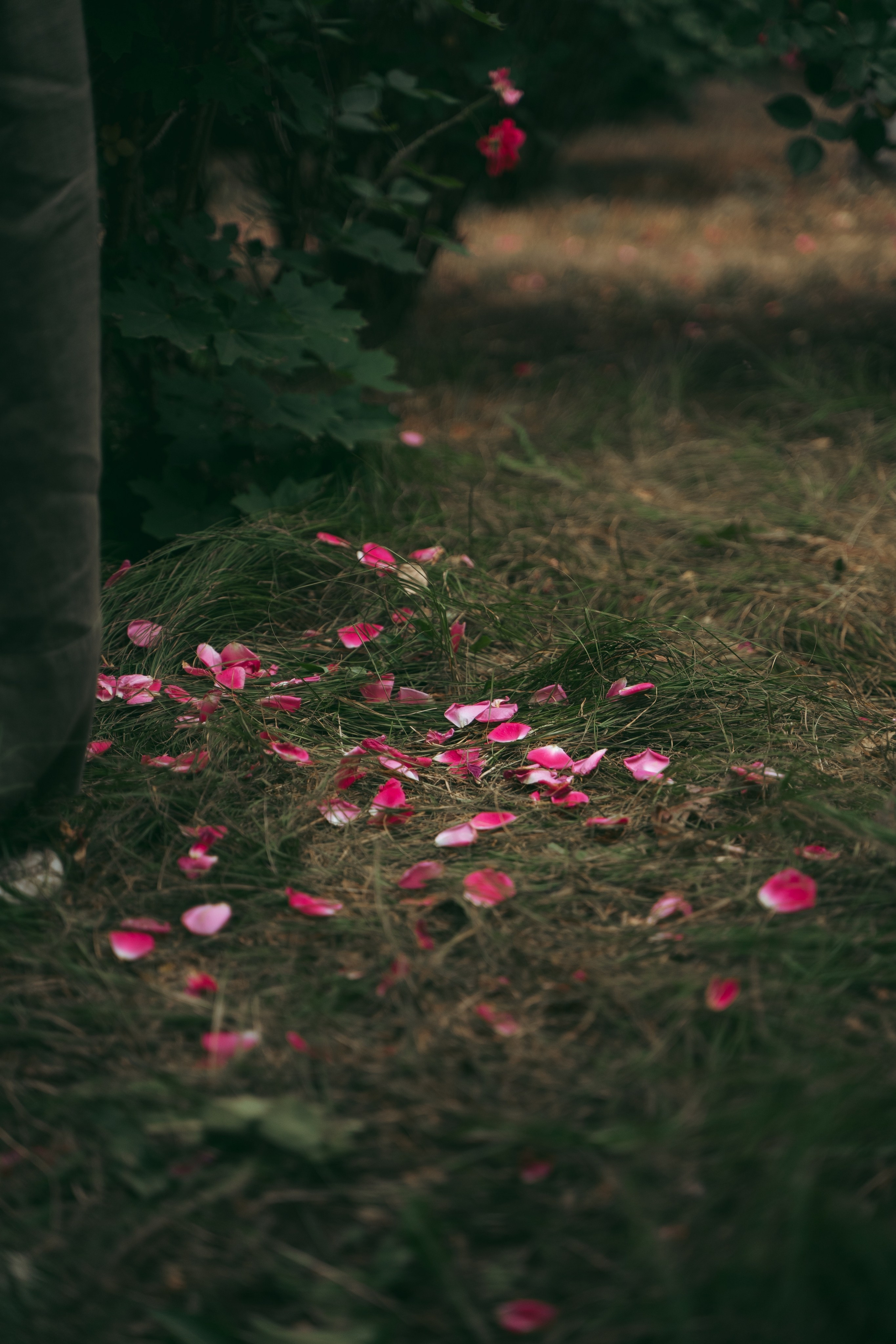 Семейные фотосесии. Фотограф в Воронеже Мария Зайчик