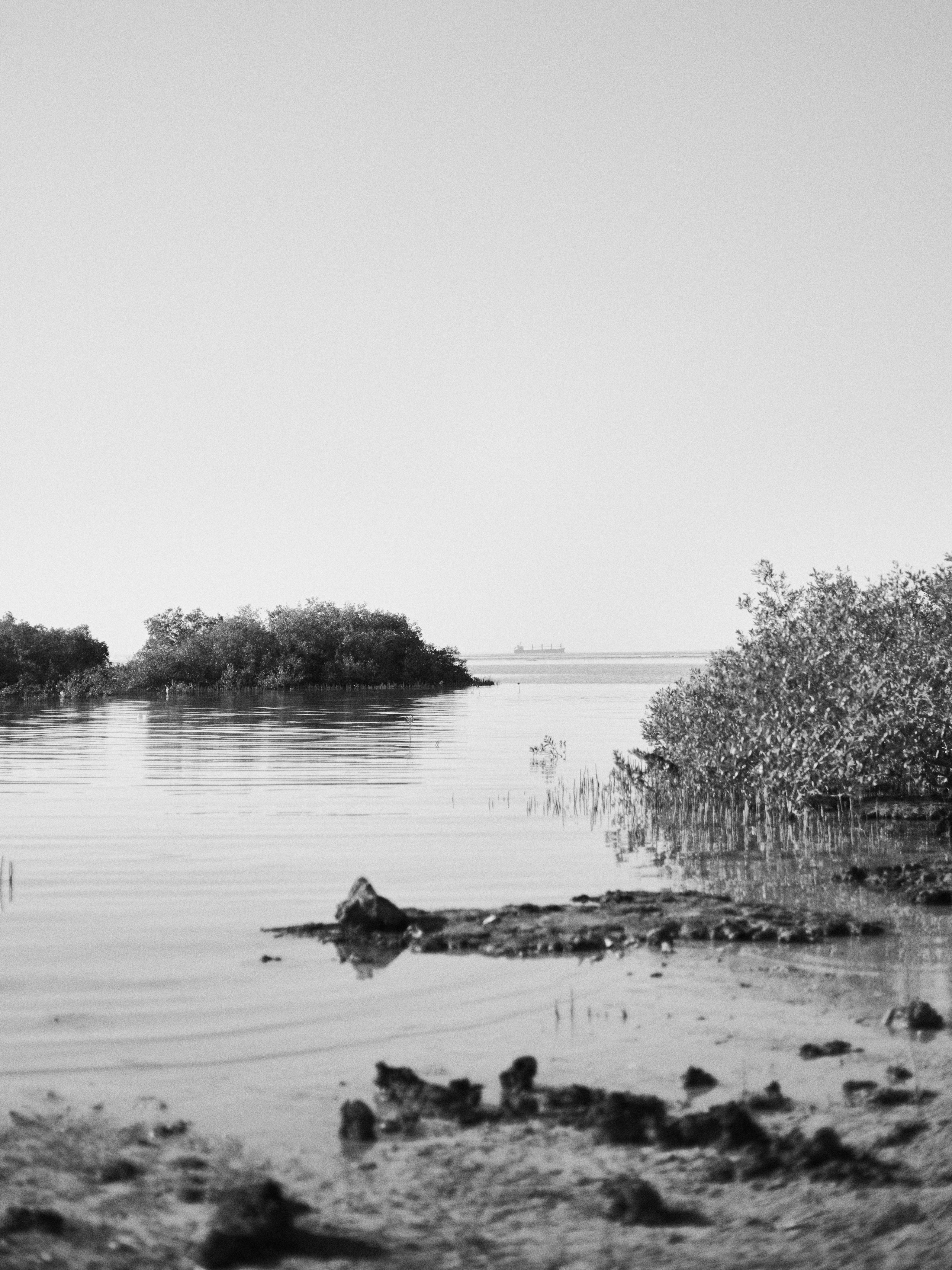 B&W. Jorgis — фотограф в Хургаде / обучение фотографии