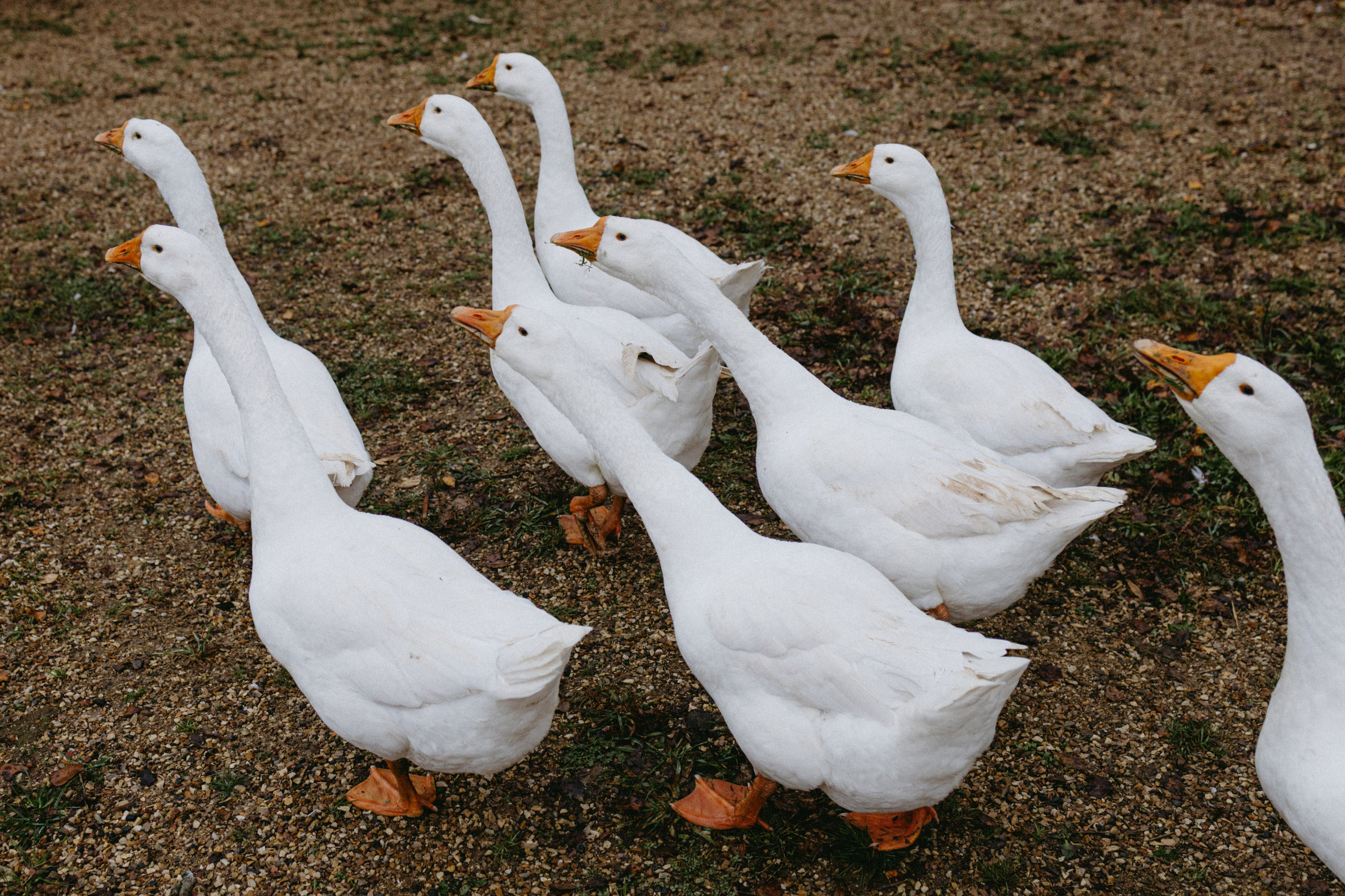 Новые земли. Про любовь