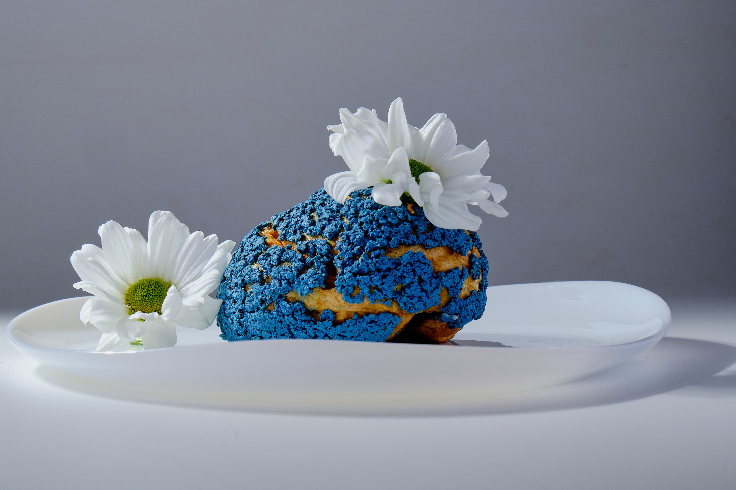 Я  фотограф. Работаю в городе Москва,