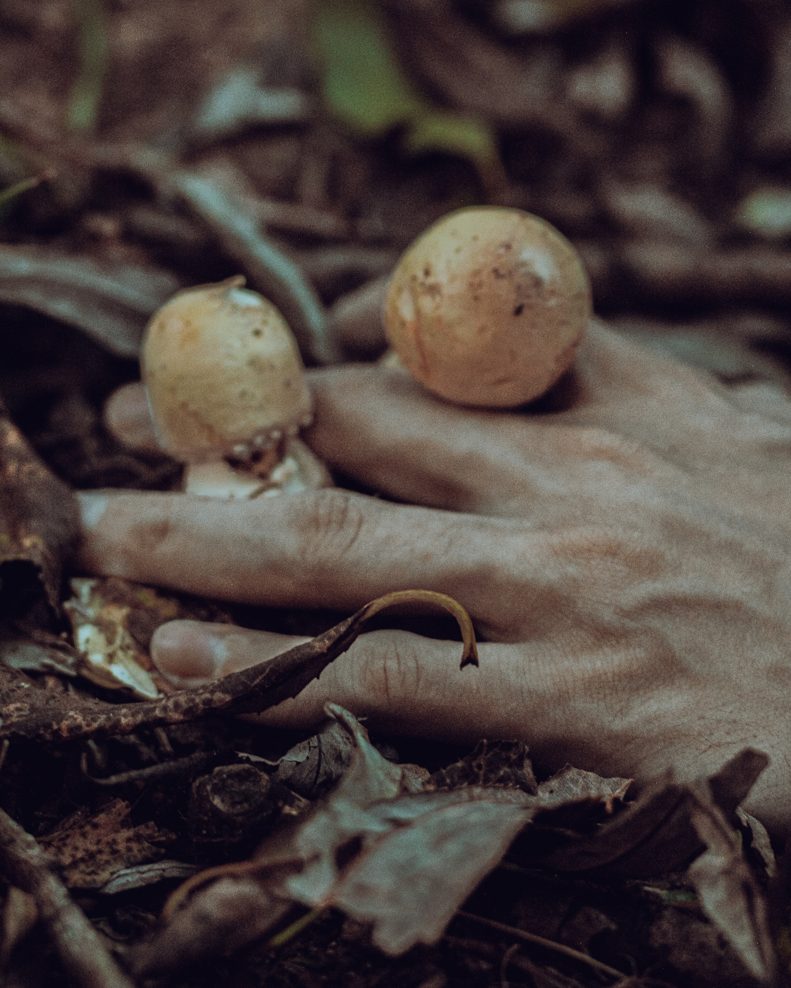 Грибная могила «По мотивам убийства». Фотограф Москва, портрет, стрит, репортаж. Художественная фотосессия