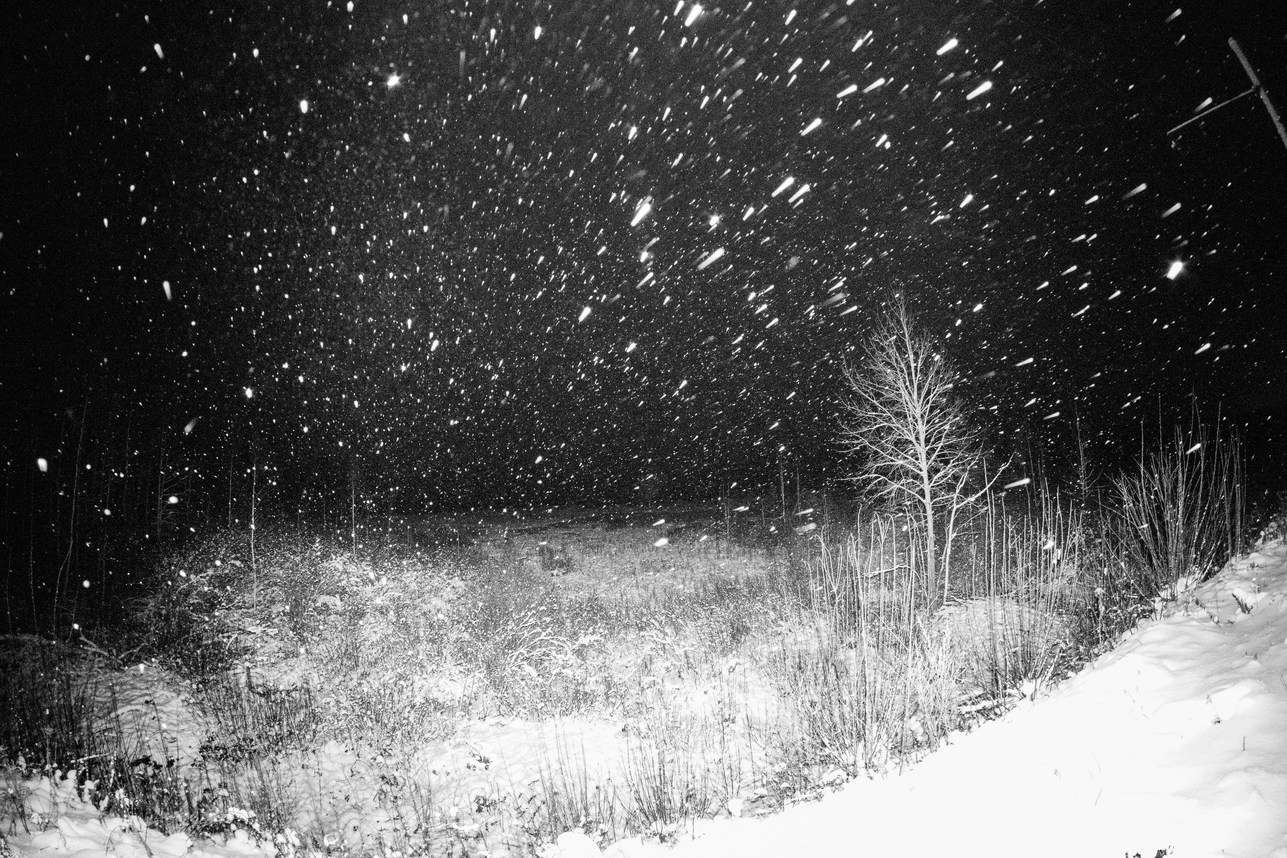 И вокруг меня. Портретный и концертный фотограф в Санкт-Петербурге Егор Телятников