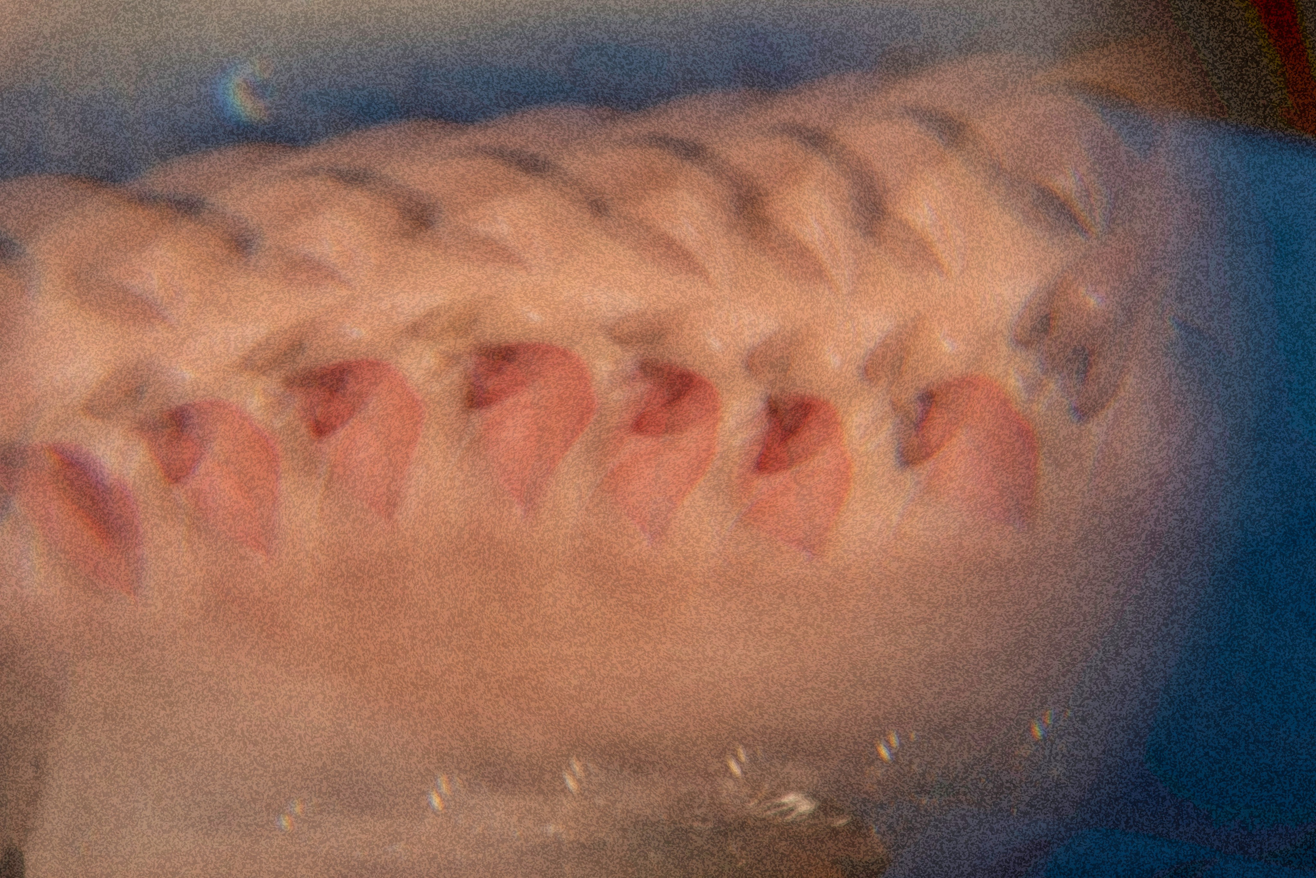 Елена Прекрасная. Творческий фотограф в Севастополе — Антонина Марченко