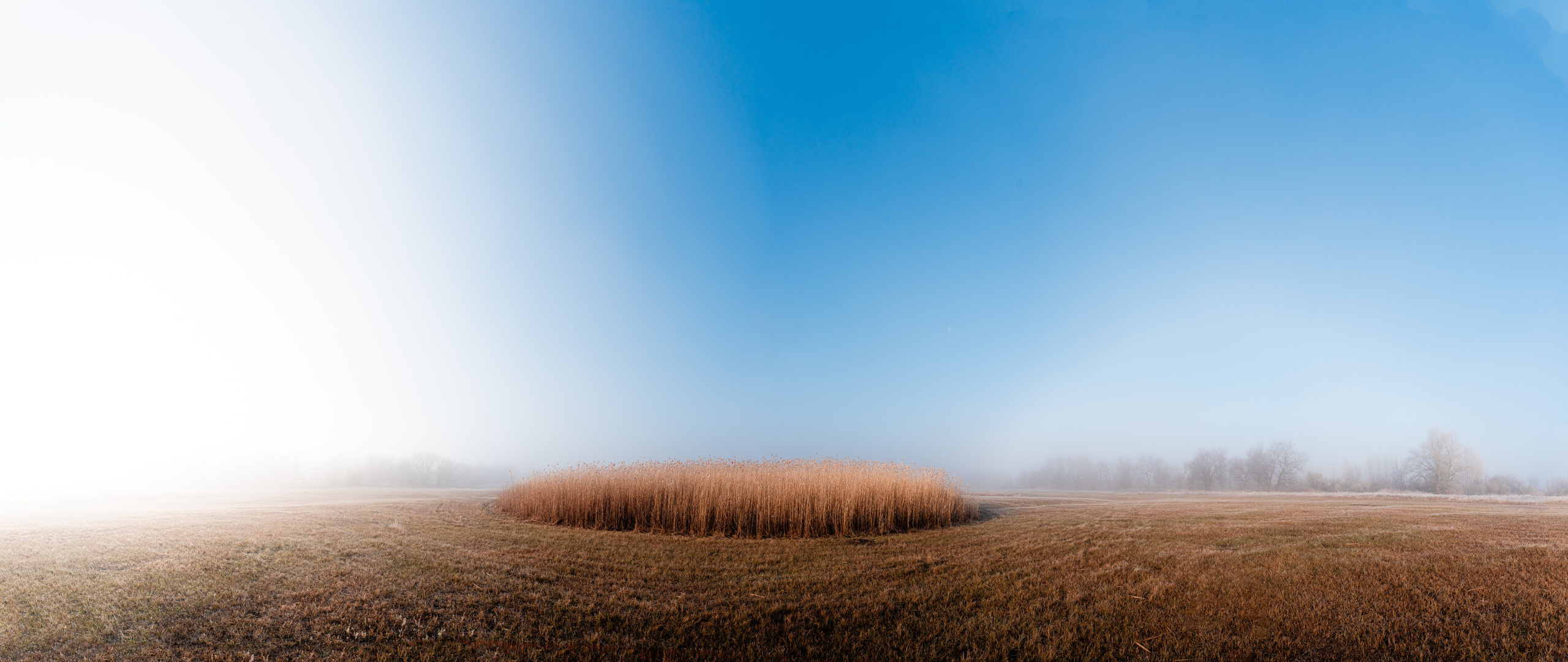 Фотографии утреннего тумана под Волжским. Фотограф в Волгограде и Волжском Александр Горбань