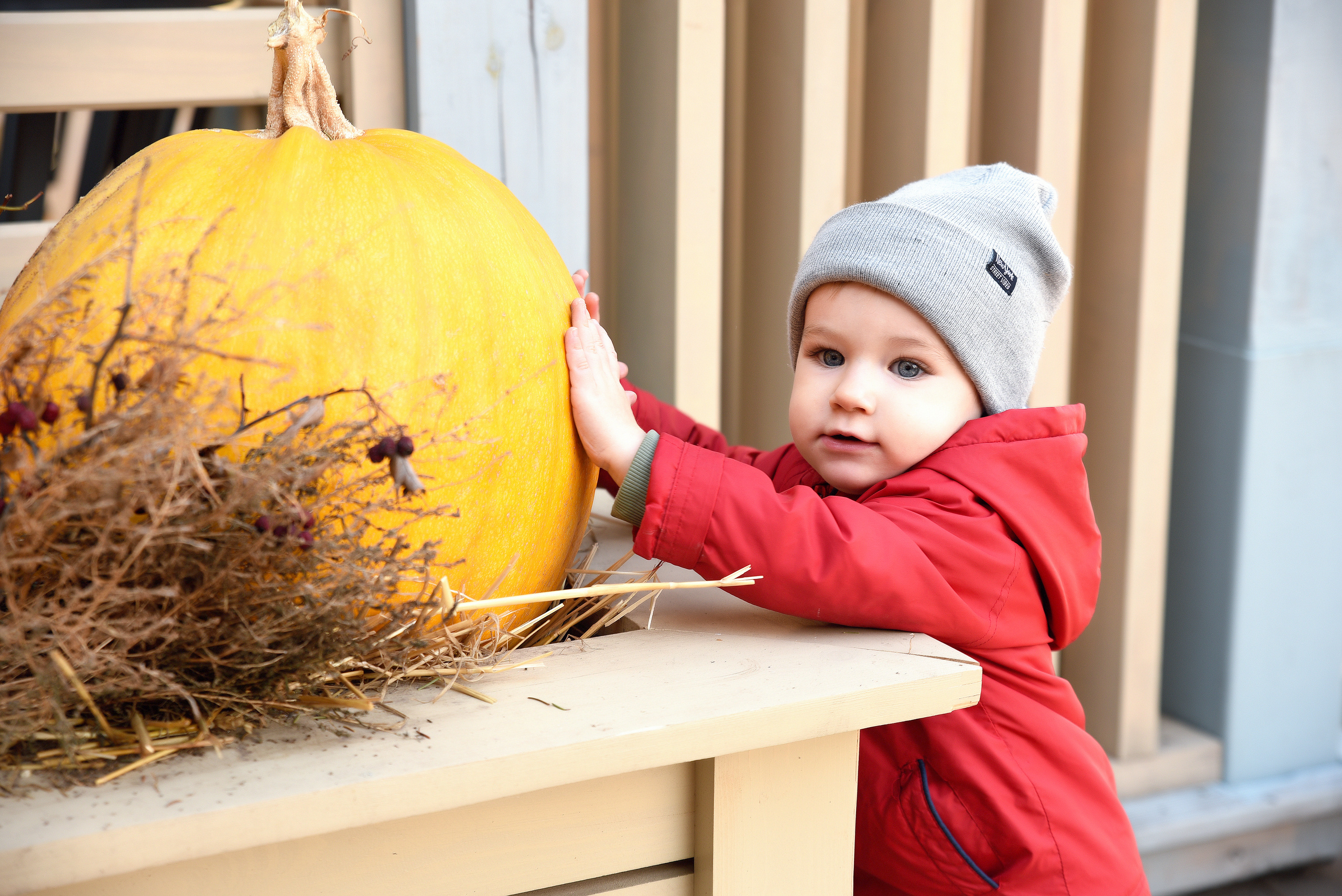Лева. Семейный Фотограф в Туле Юлия Федотова