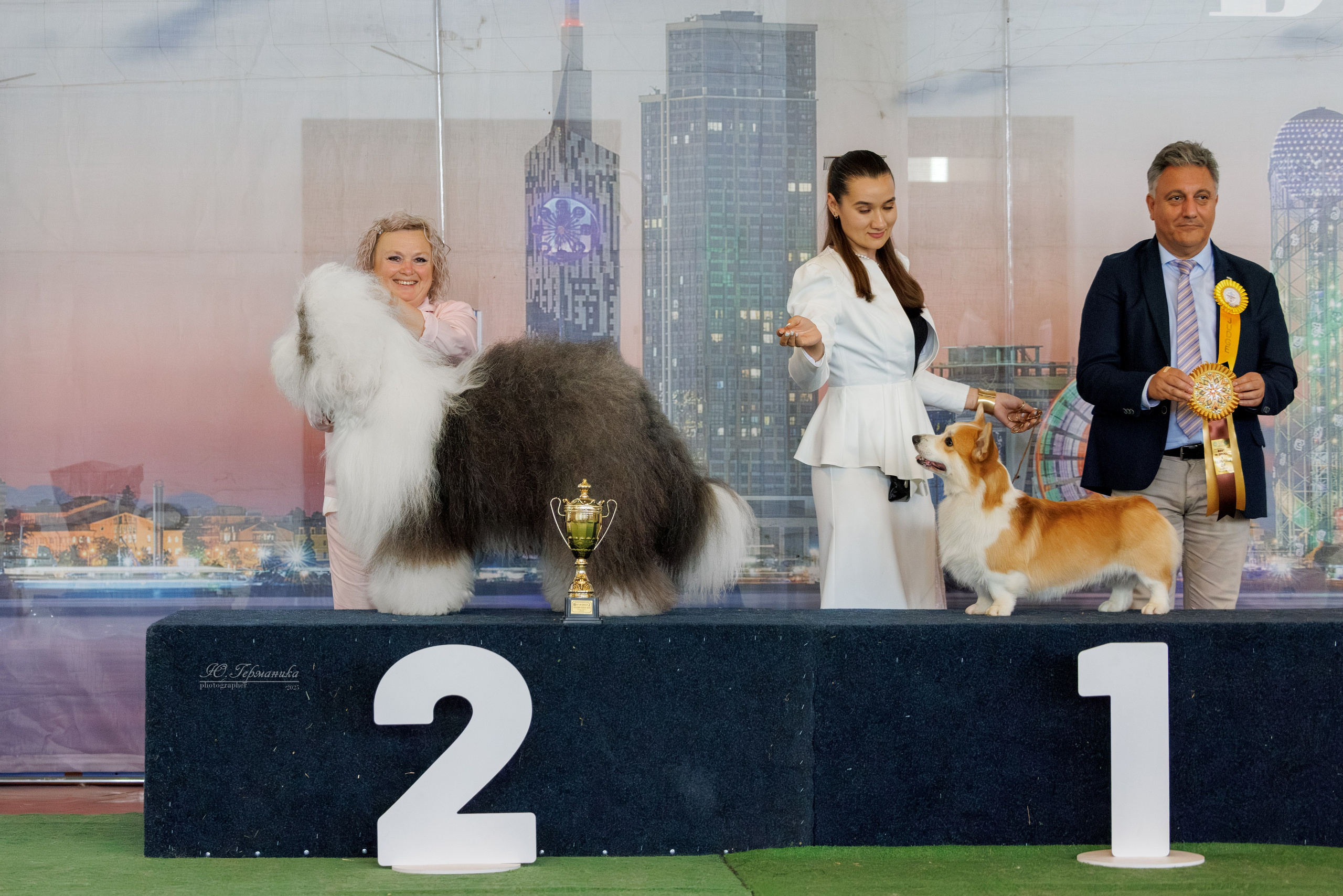 Батуми 3хCACIB 27-29.06.2025. Фотограф-анималист Юлия Германика