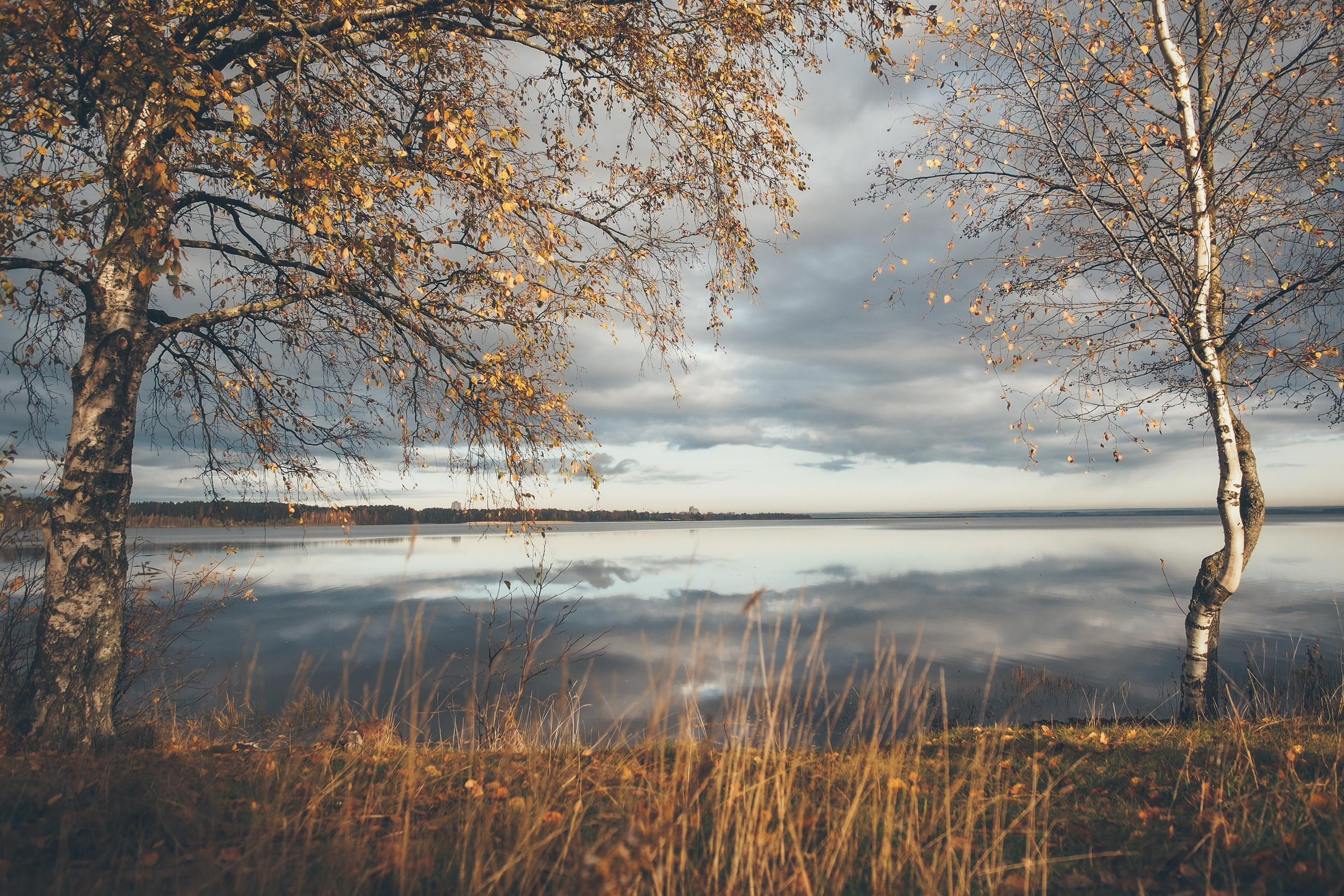 Сестрорецк. Свадебный фотограф Копков Геннадий