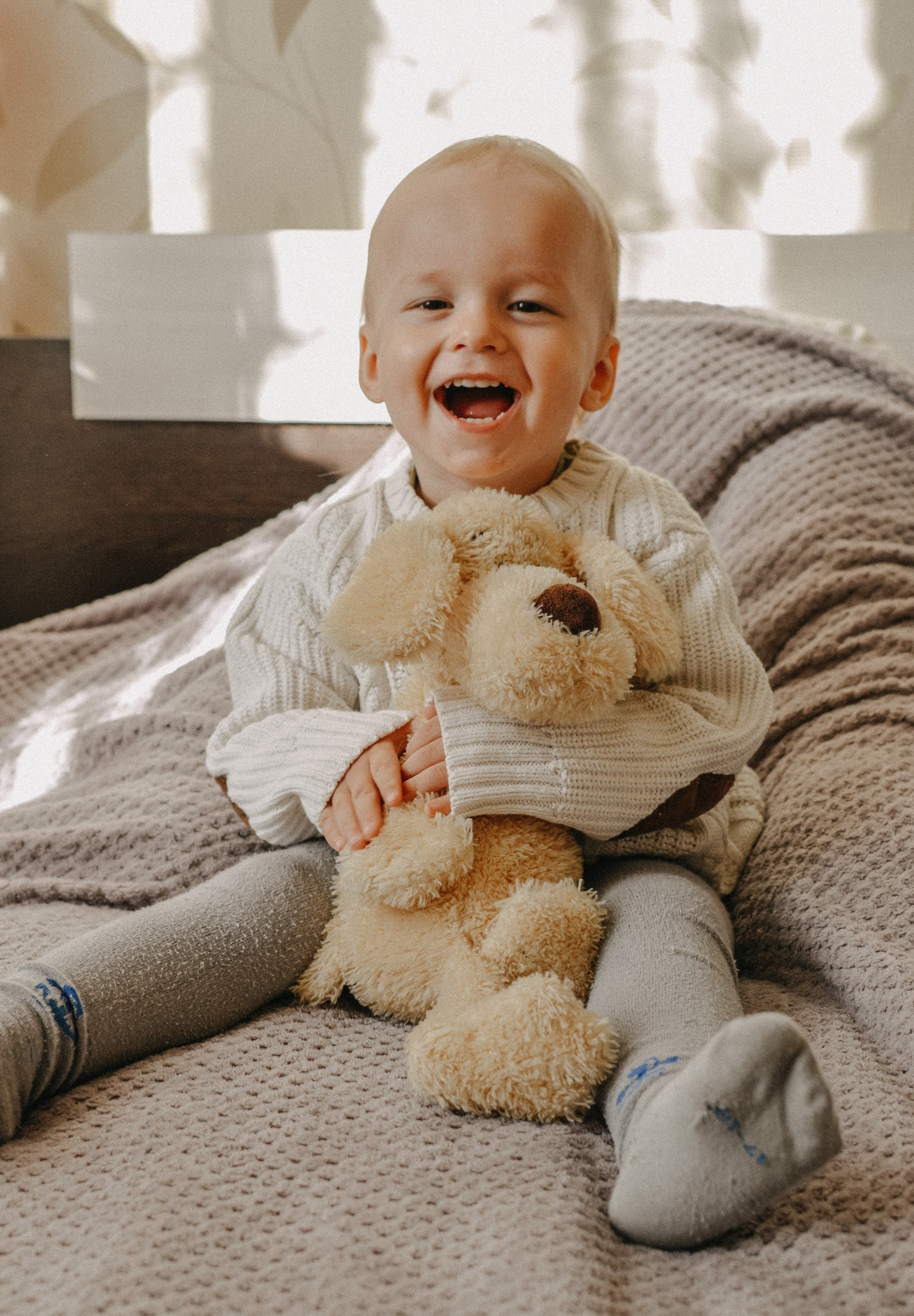 Домашняя история. Meryfotoidea