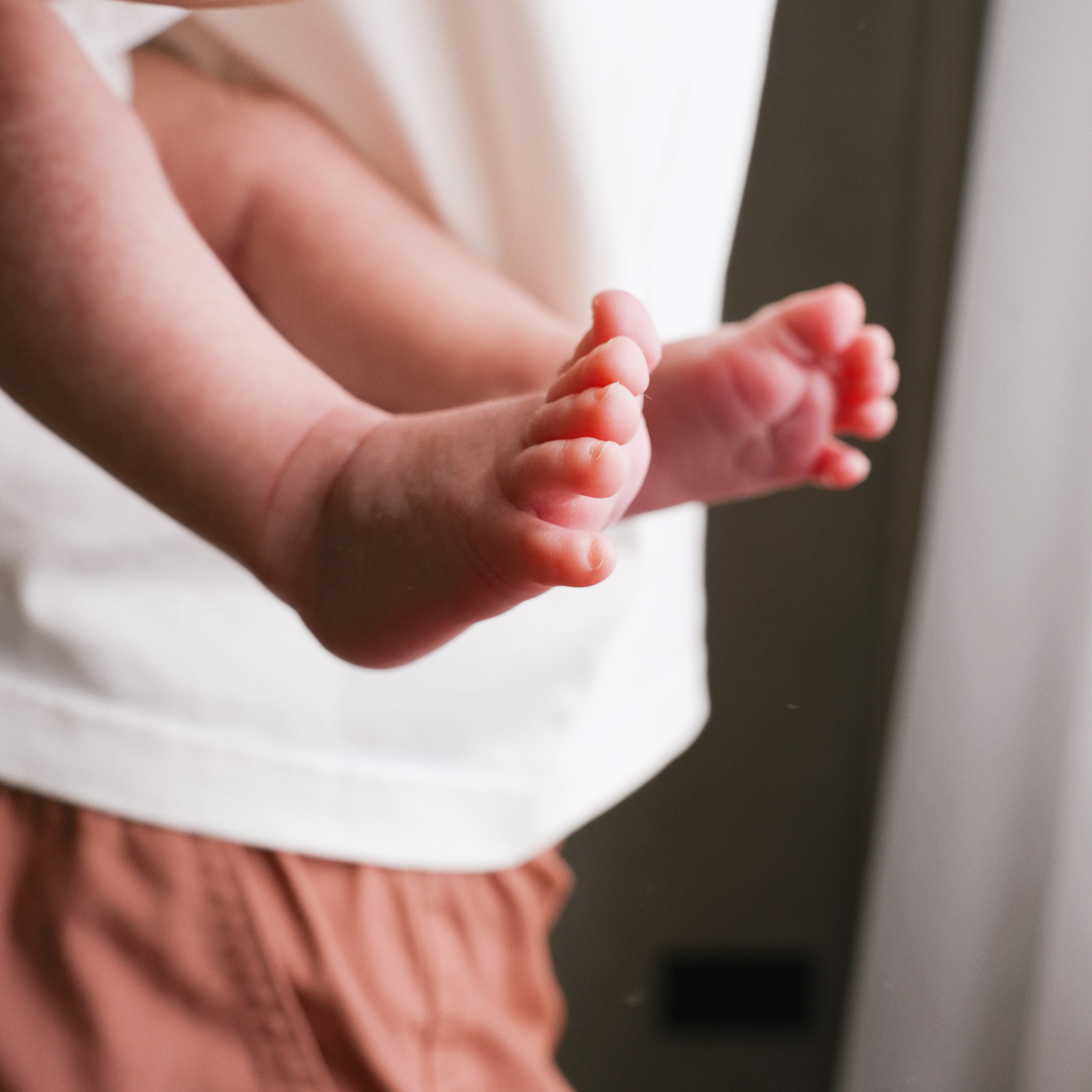 Маленькая Амелия и ее большая семья. Главная