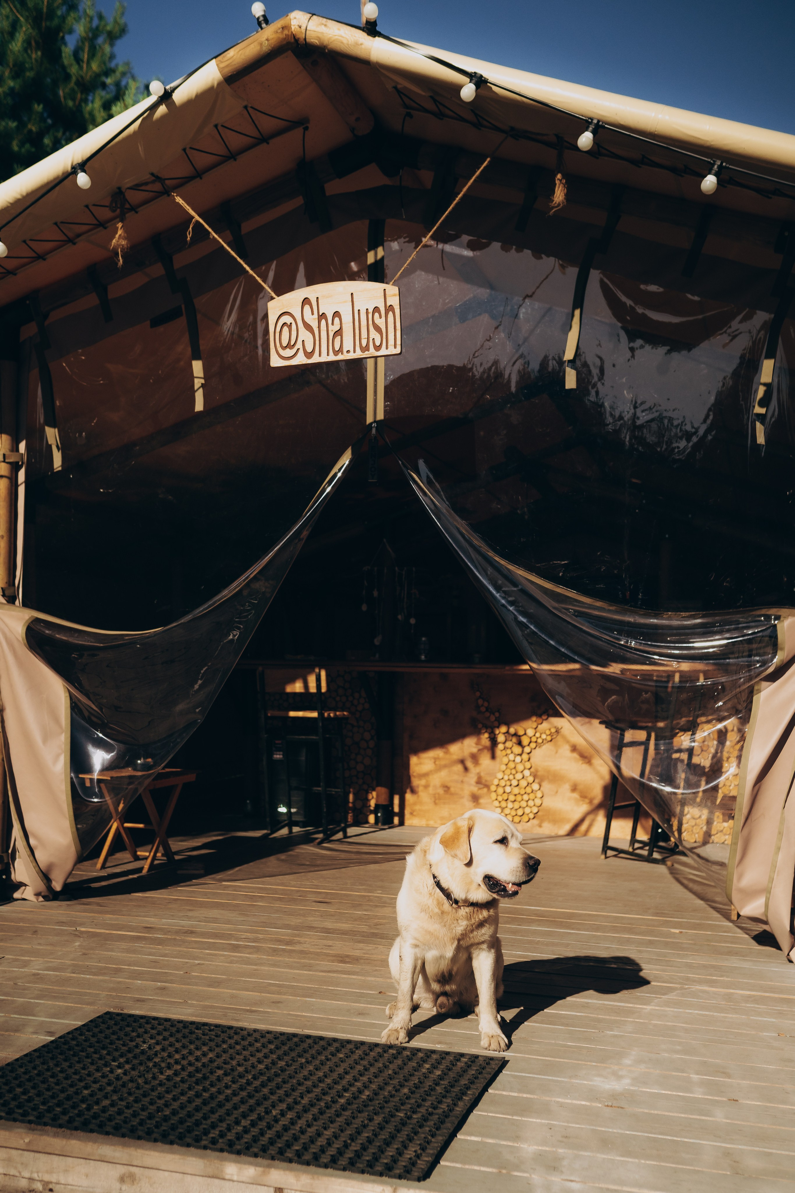 Глемпинг Шалаш. Фотограф Торопец Кристина Абрамова Kanwellia photography