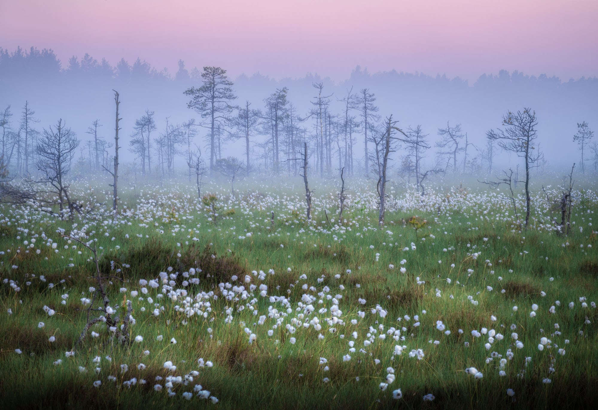 Фотографии Европейская часть России