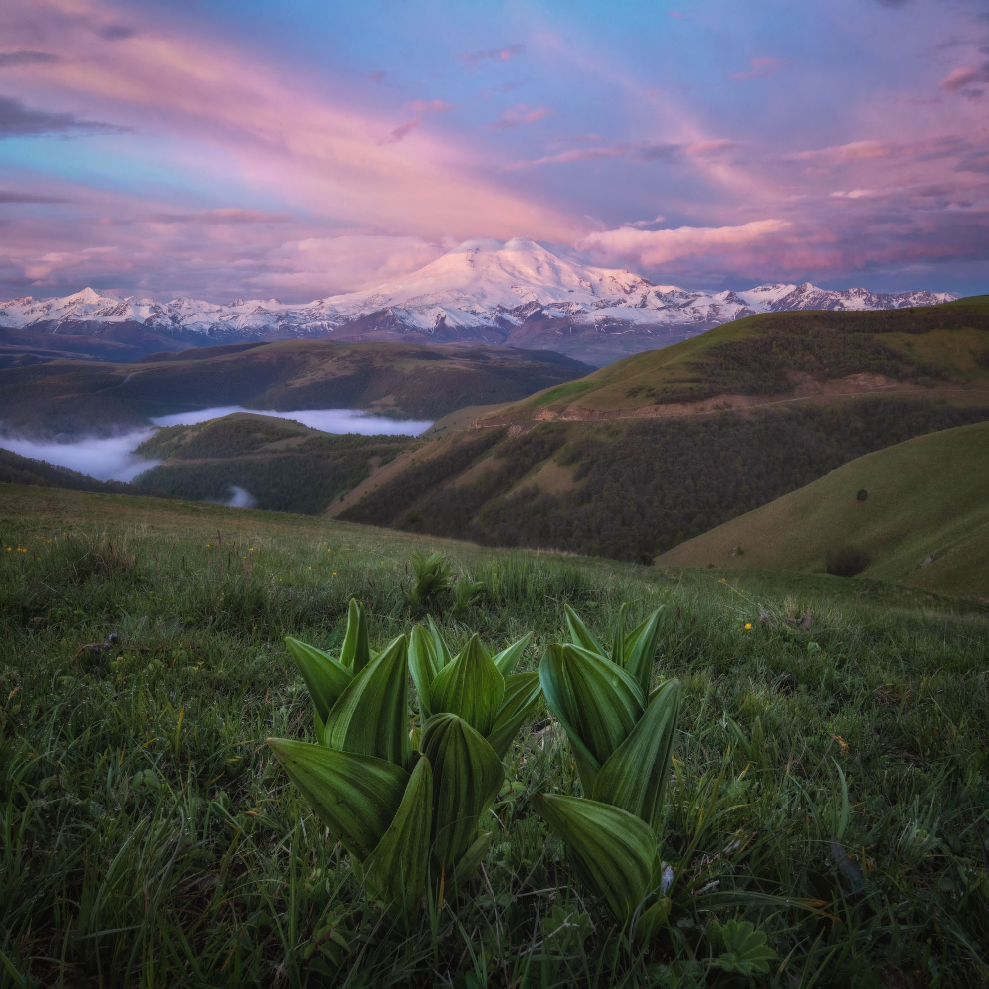 Фотографии Кавказ