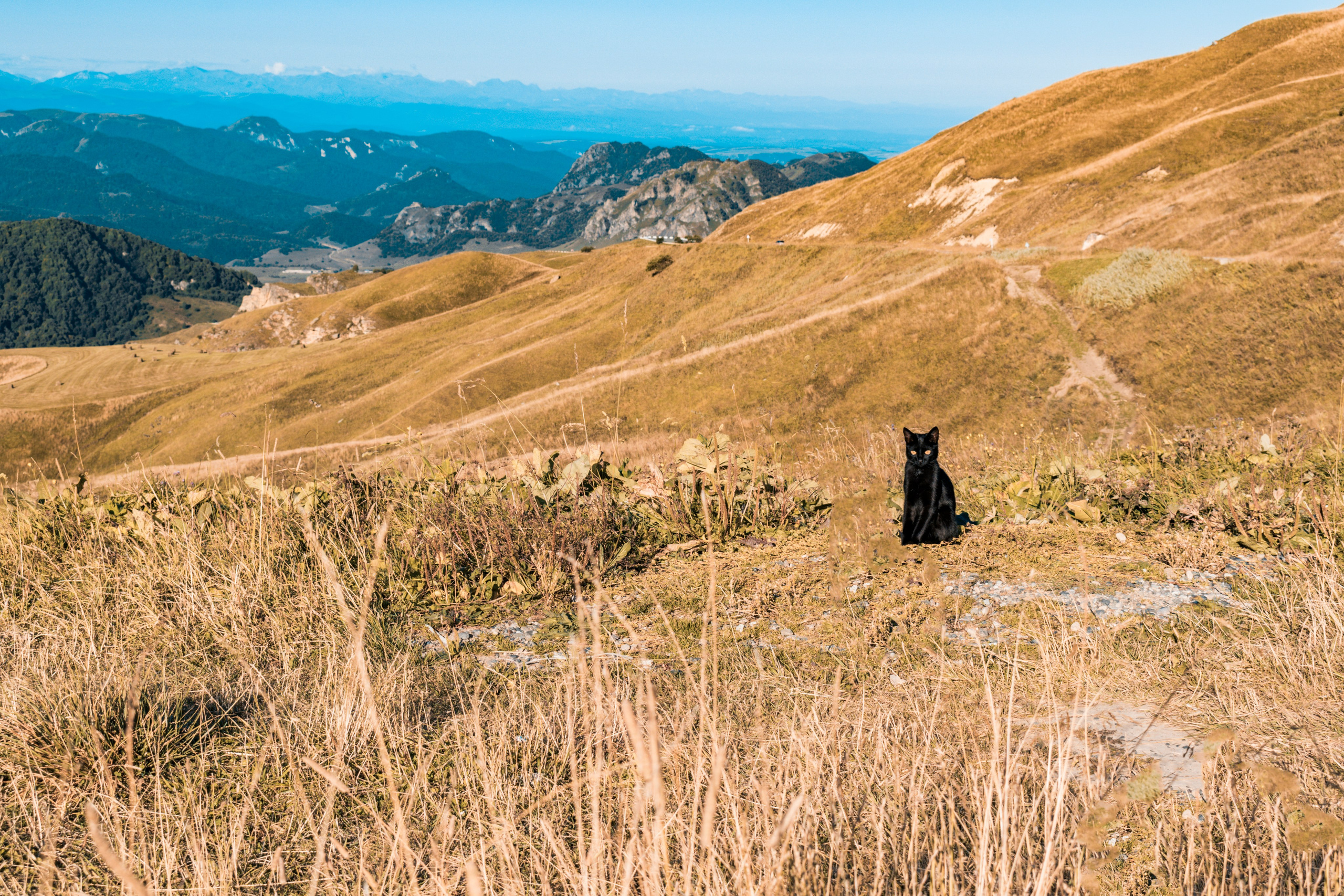 Пейзажная фотография. Сергей Ильин | Фотограф