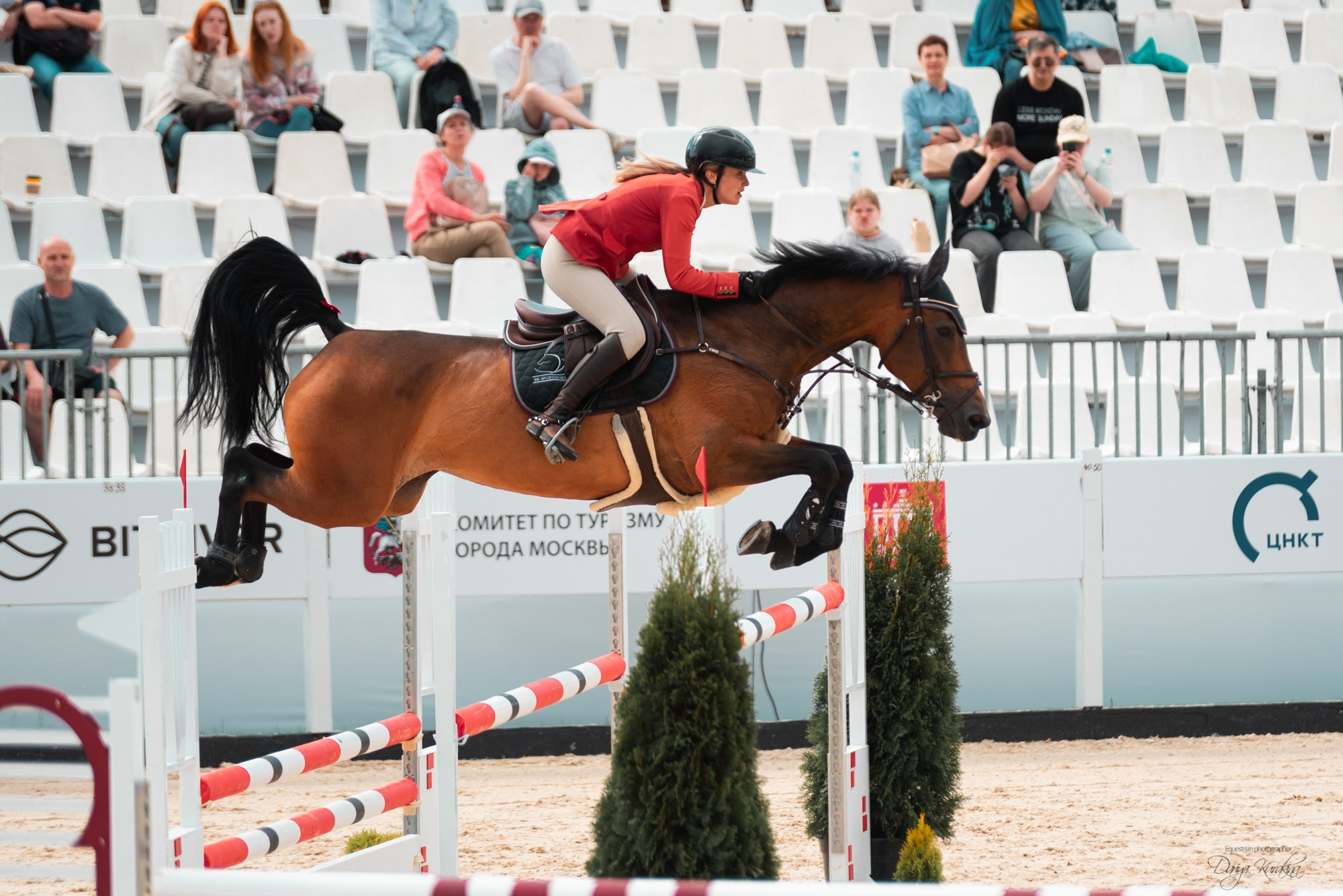 BITRIVER CUP 2023. Конный фотограф Куракина Дарья • Фотосессии с лошадьми