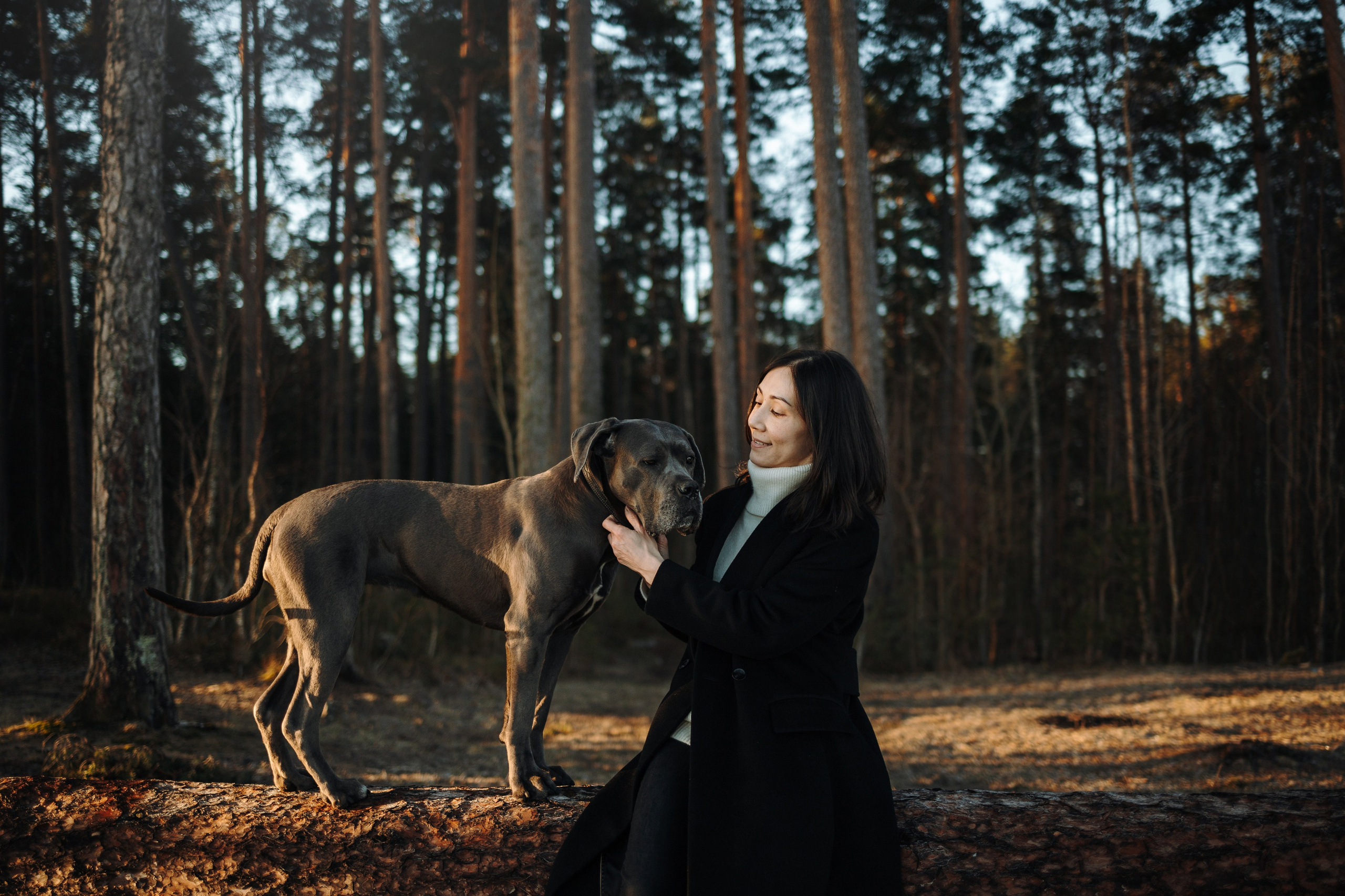 Анна и Лана. Фотограф — Анималист | Санкт-Петербург