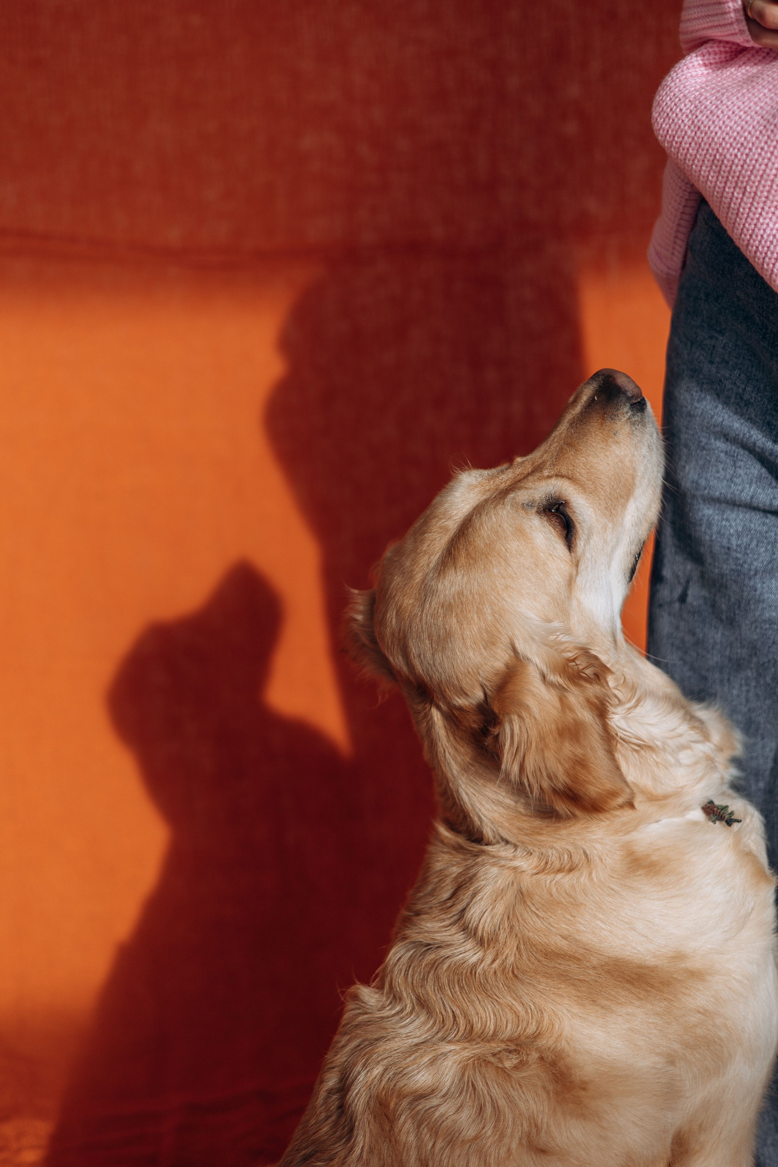 Марина и Чили. Фотограф — Анималист | Санкт-Петербург