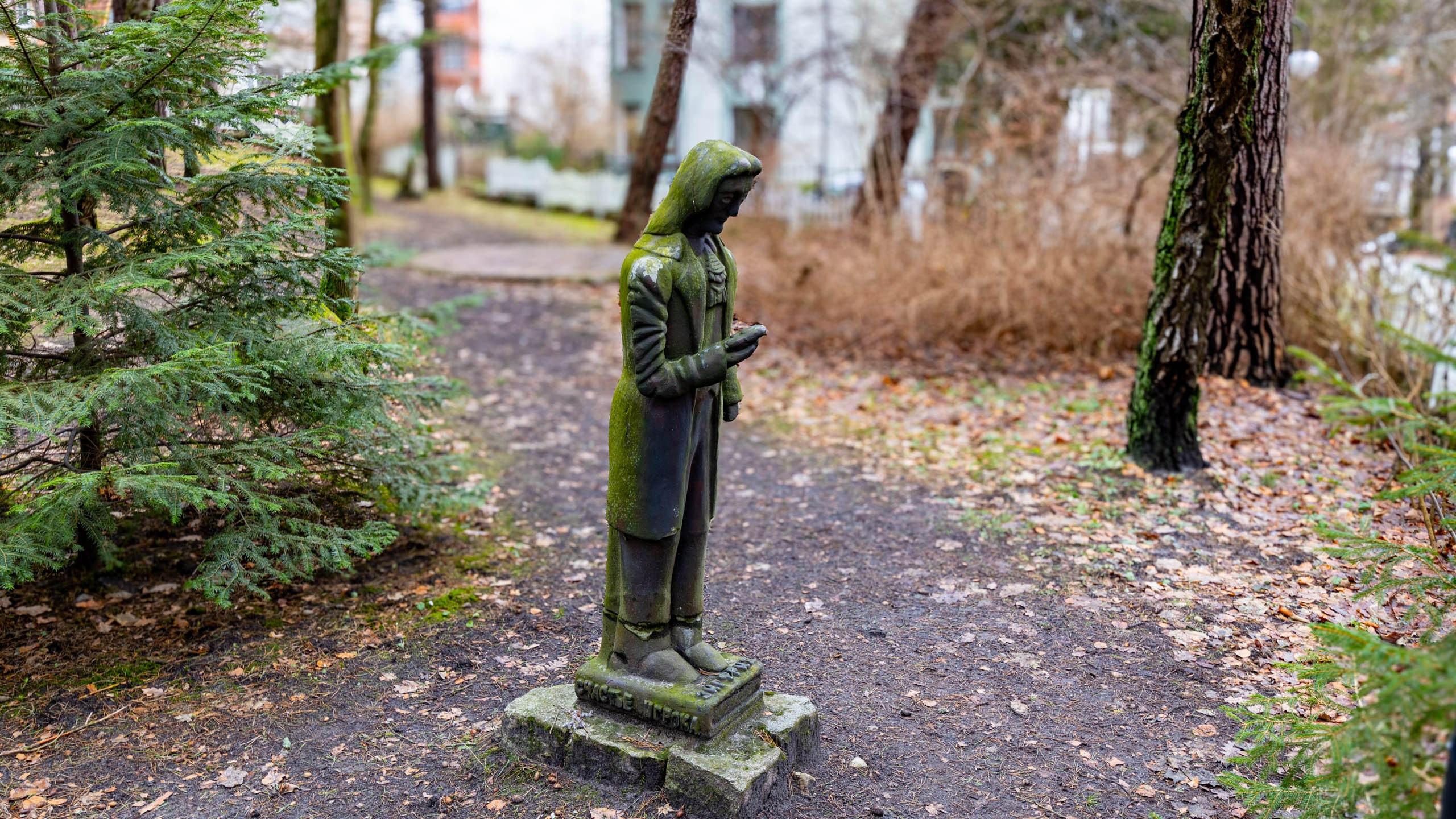 2024 01 Калининград (Светлогорск, Зеленоградск). Фотографии