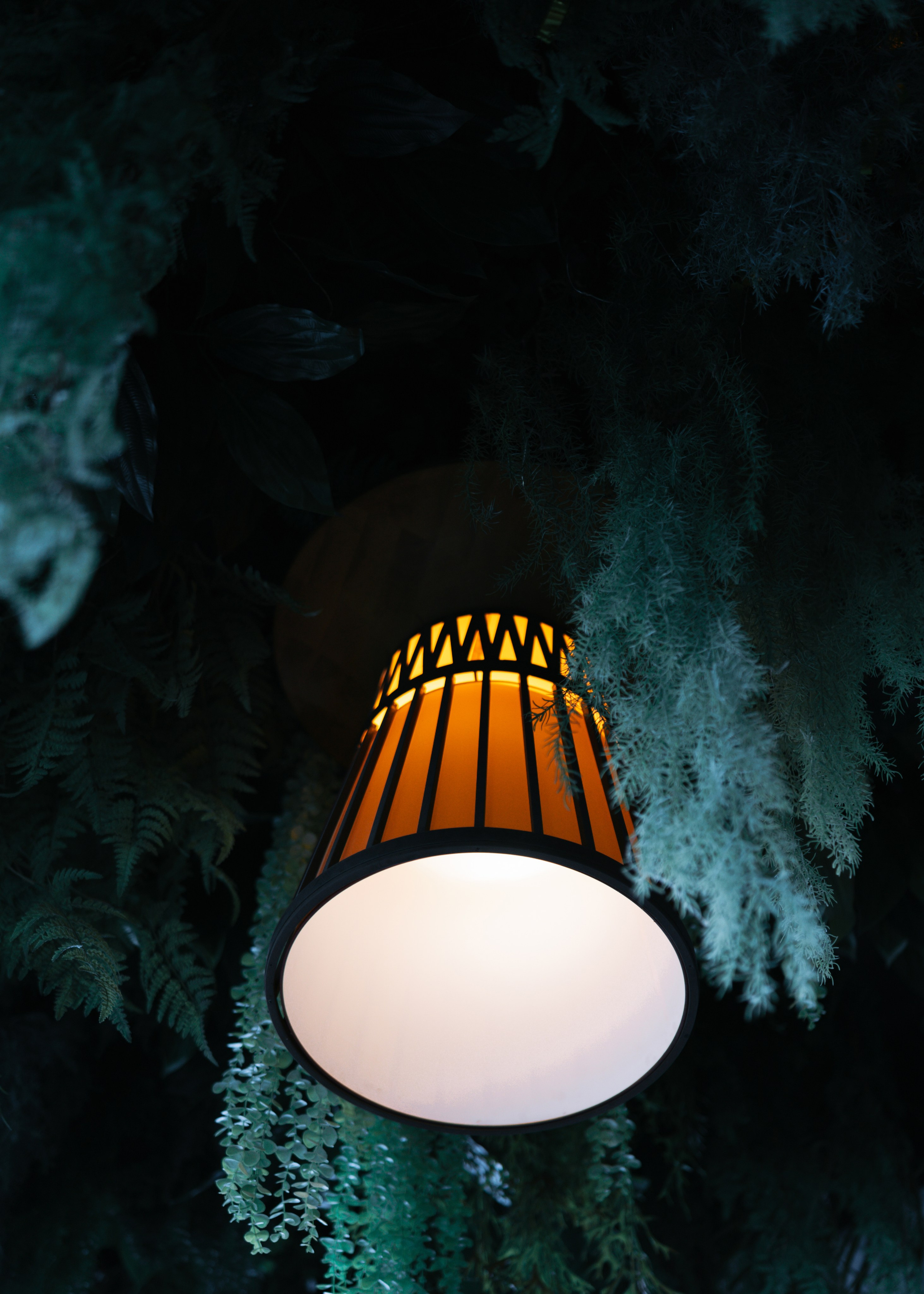 Birds 2.0. Свадебный фотограф в Москве Кристина Чехова