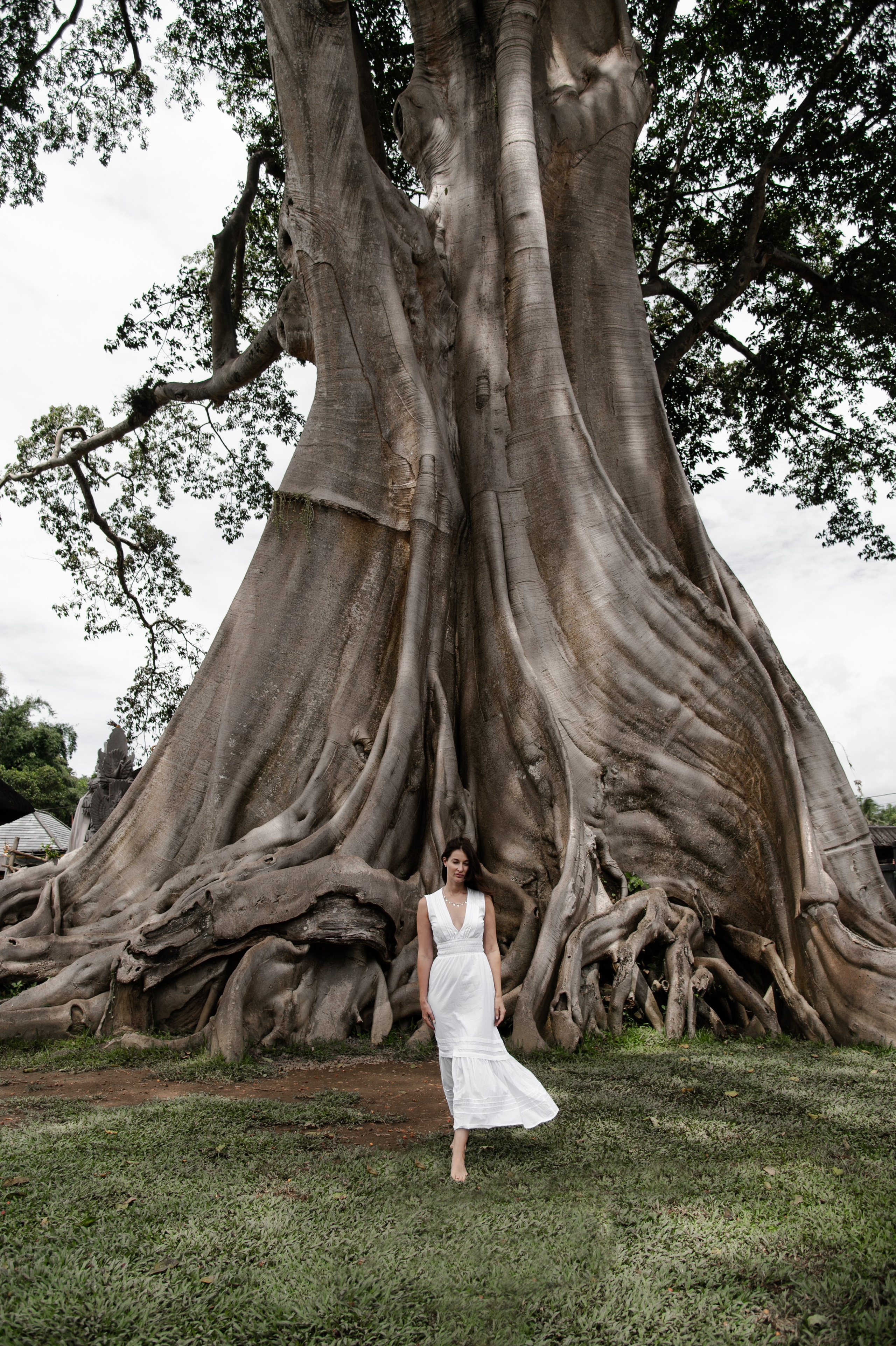 Bayan Tree. Свадебный фотограф в Ростове Максимов Максим