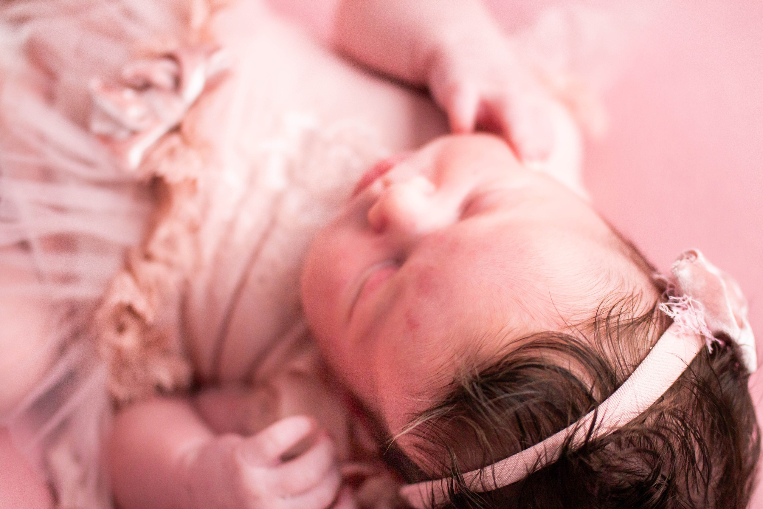 Ева. Violinn.Photo