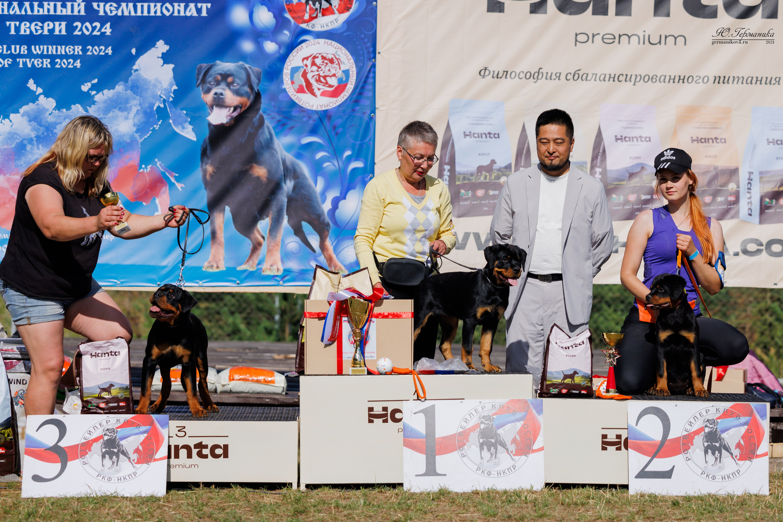ПК и КЧК ротвейлеры Тверь 6-7.07.2024. Фотограф-анималист Юлия Германика