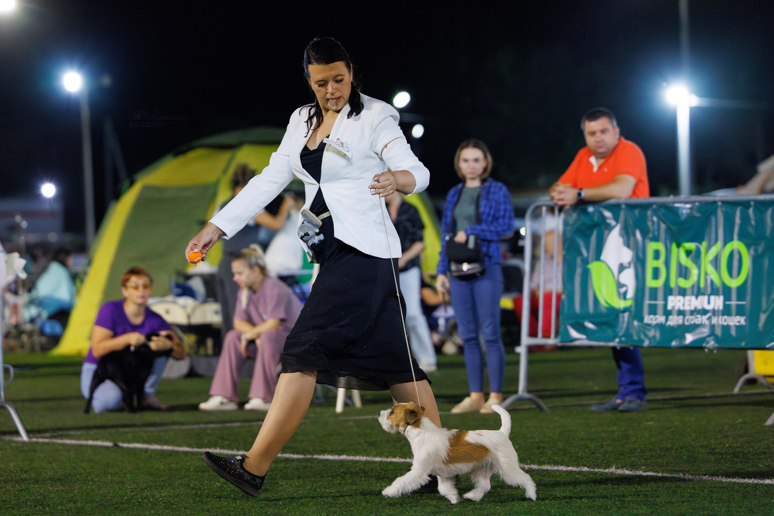 Волгоград 2-4.08.2024. Фотограф-анималист Юлия Германика