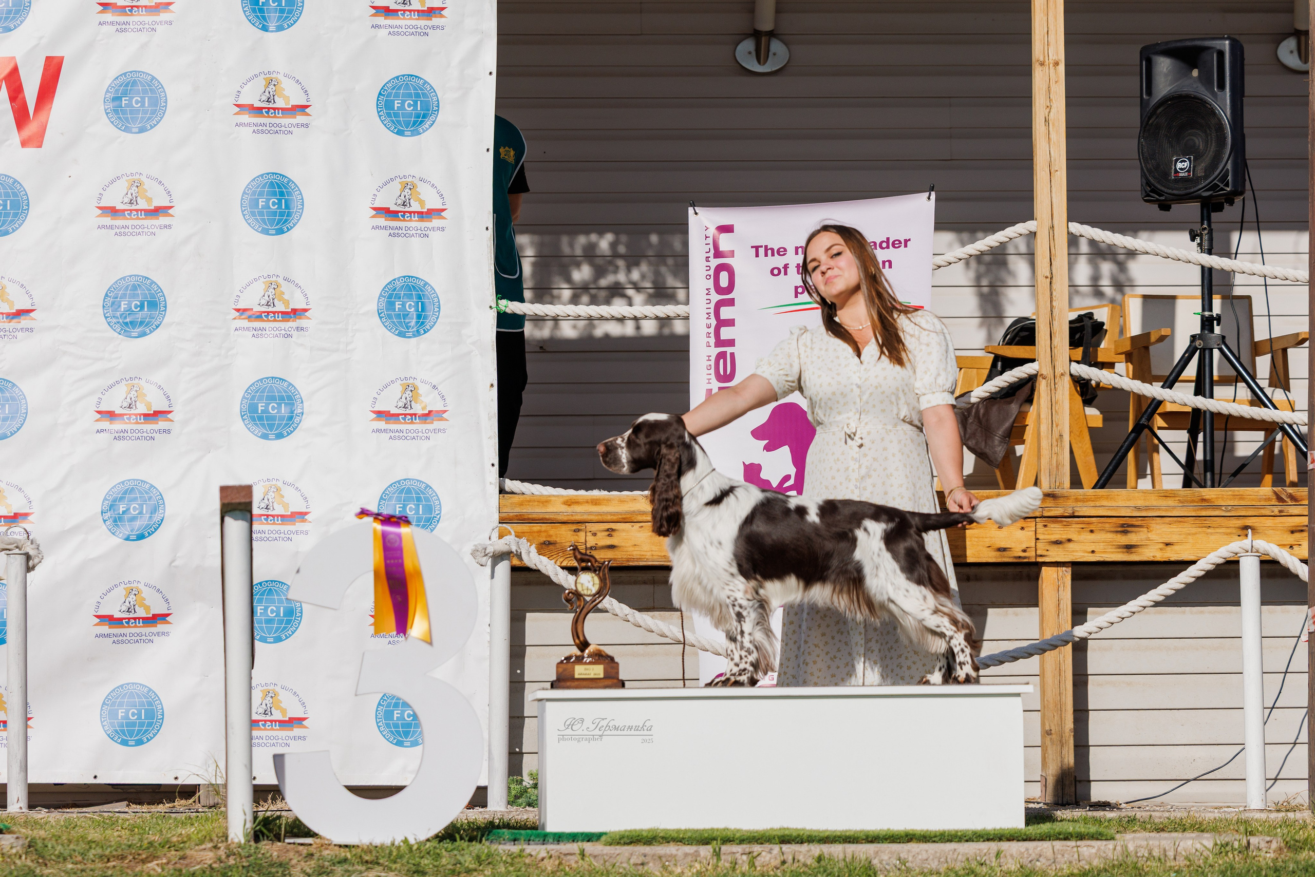 Ереван 14-16.10.2025. Фотограф-анималист Юлия Германика